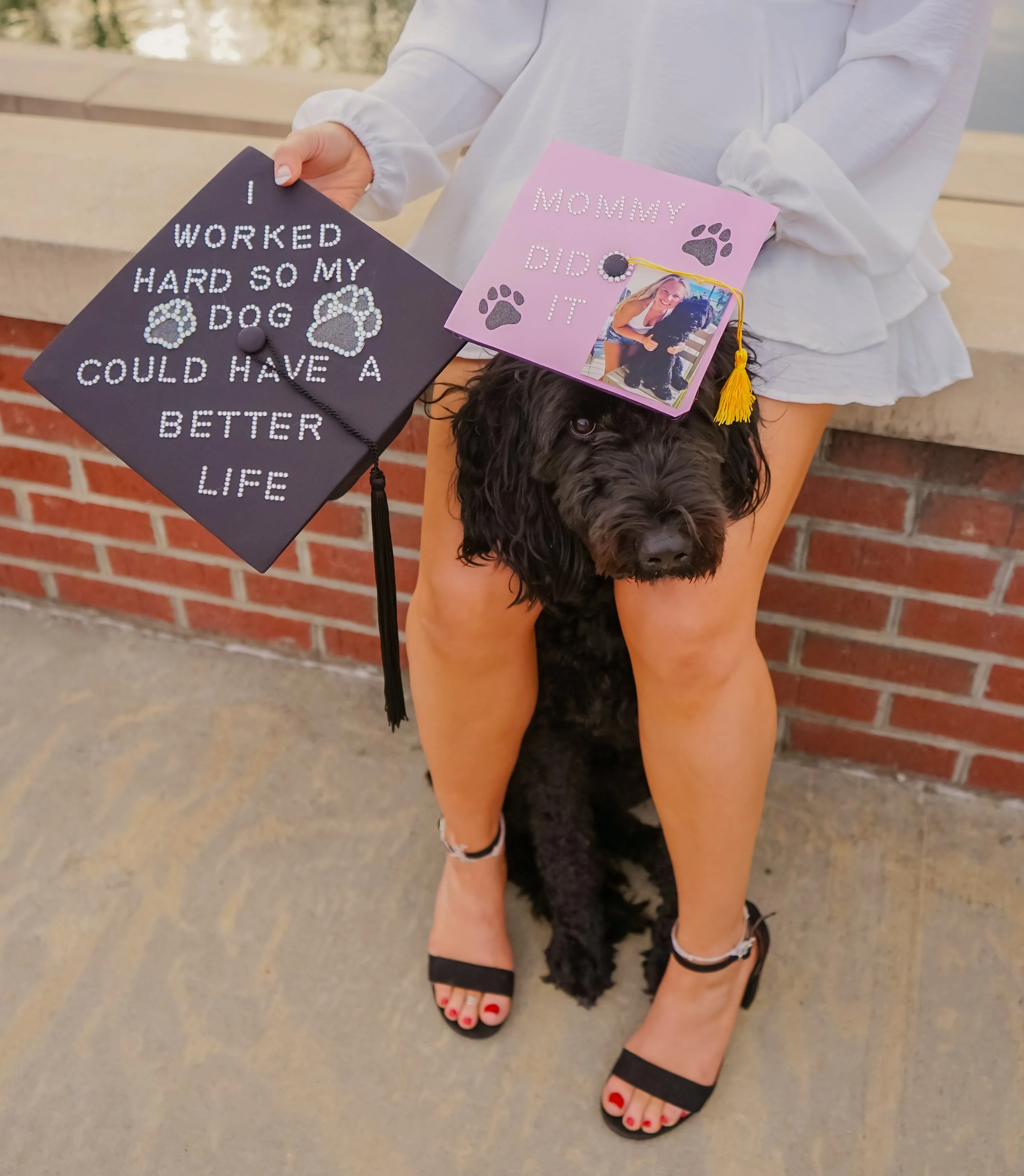 A woman sitting on a bench holding a decorated graduation cap with a dog on her lap. The cap has the message 'I worked hard so my dog could have a better life' written with rhinestones. The woman is wearing a white top and black sandals, and her blac