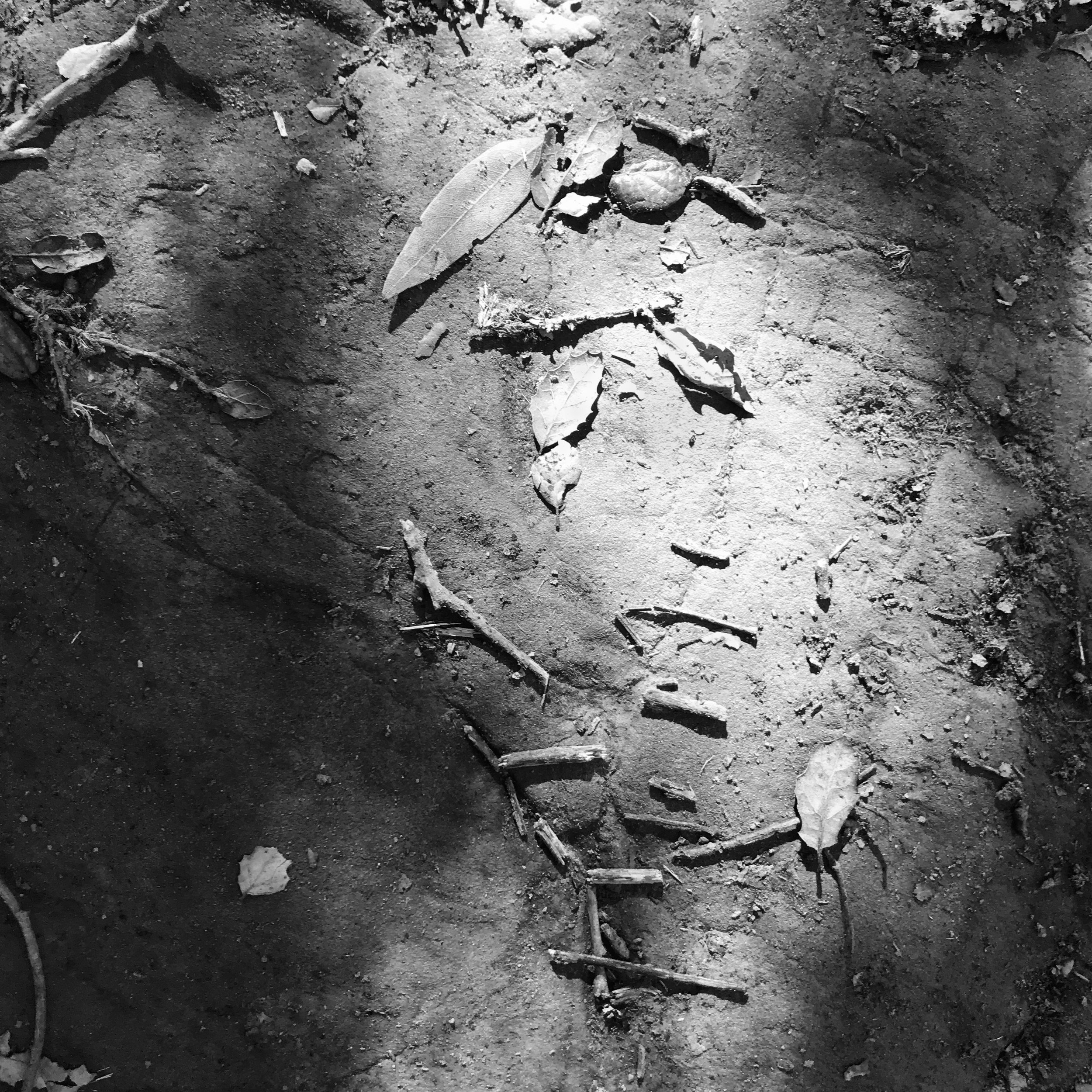 OaklandTrail_bw_8022