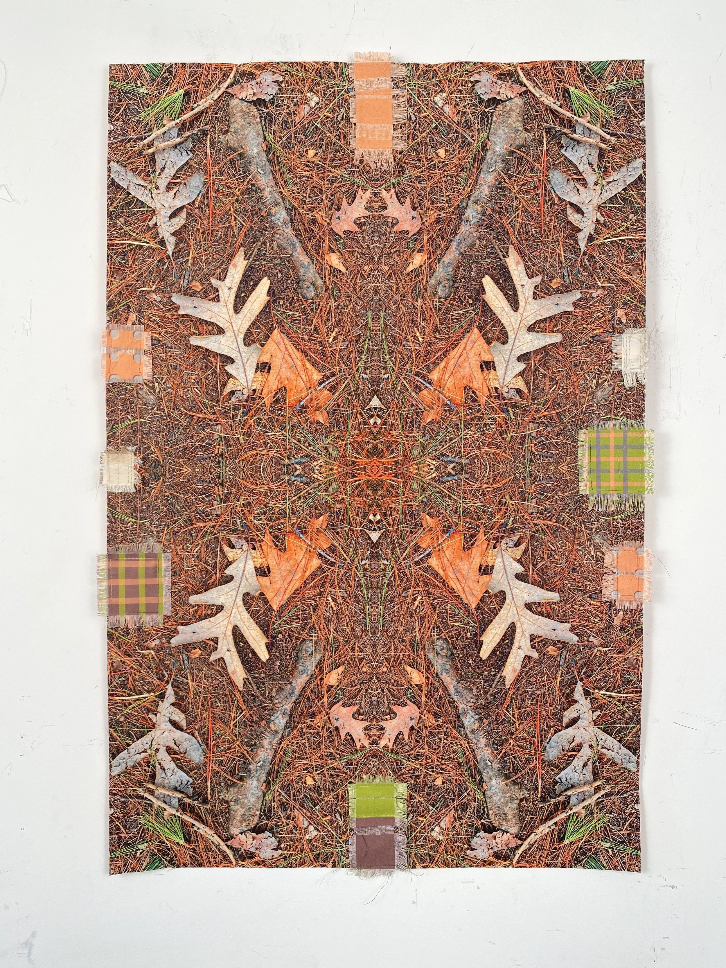 Fiber – Forest Floor