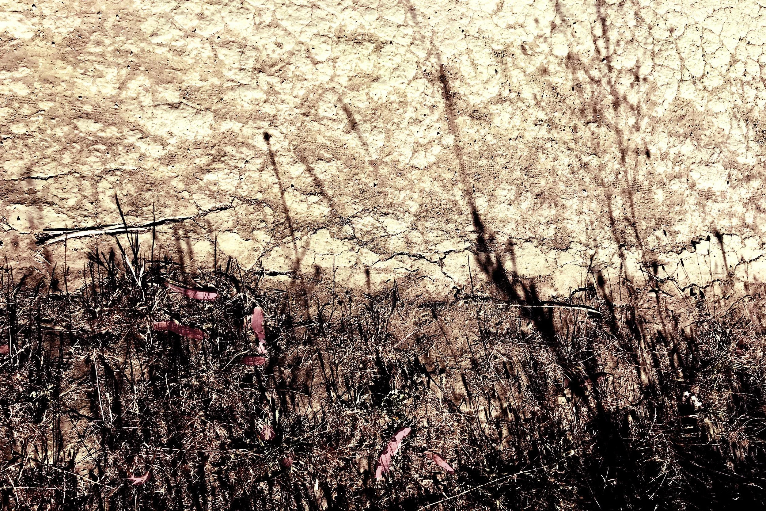 Afternoon Trail 1, 2024, 8 x 10"