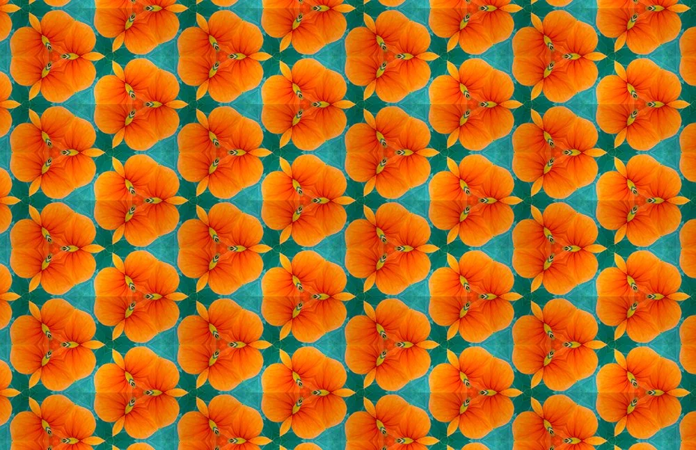 Nasturtiums Orange Pattern