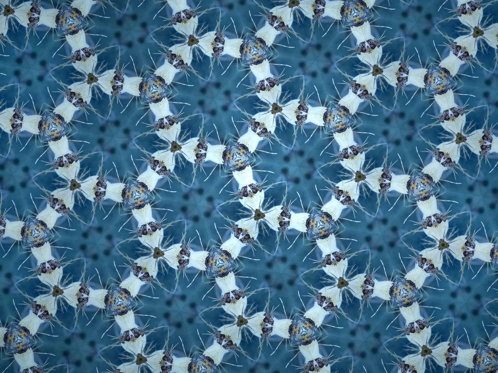 Blue Cactus Ring-_72