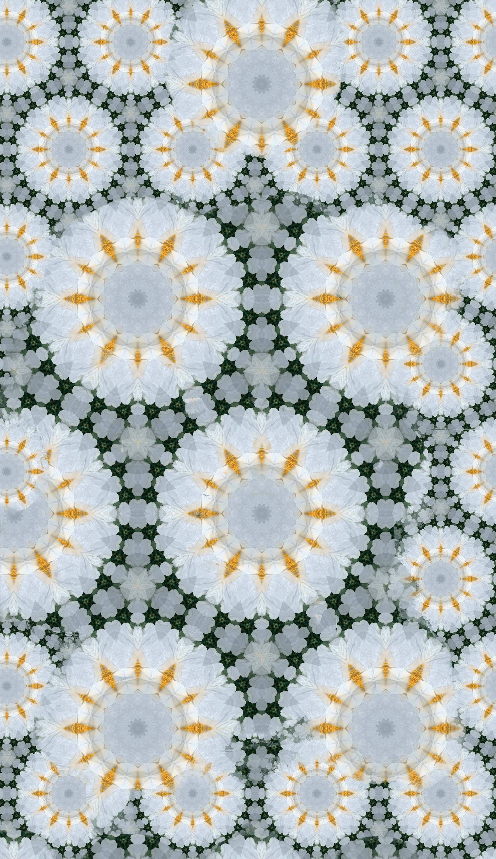 White Petals Collage2400-1_INCLUDE