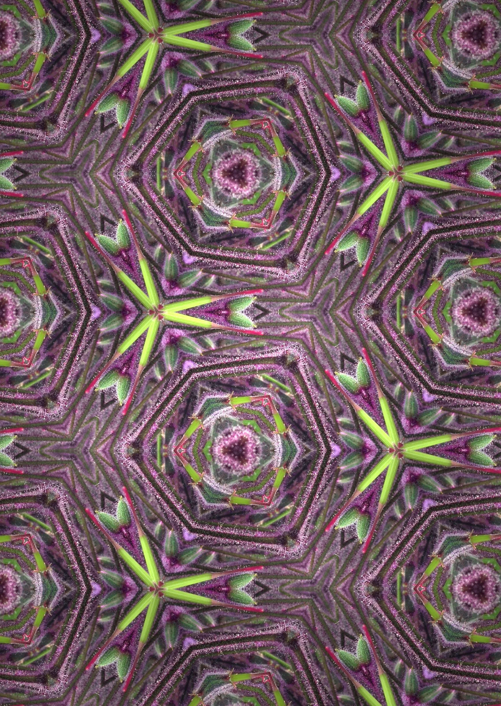 2Green_Purple1