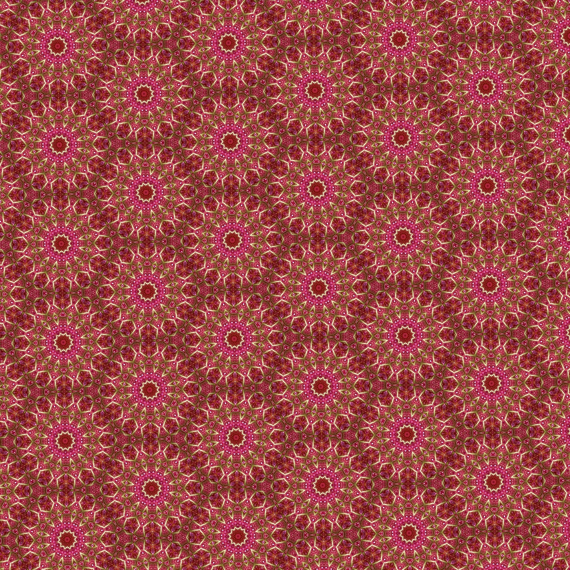 Red Lettuce Stars