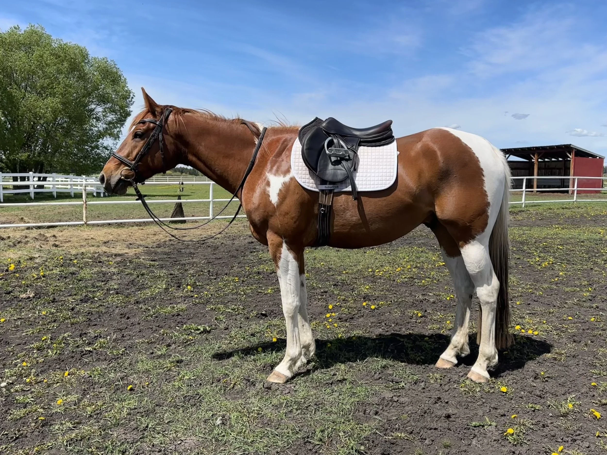 2025-05-27 13.06.01.jpg