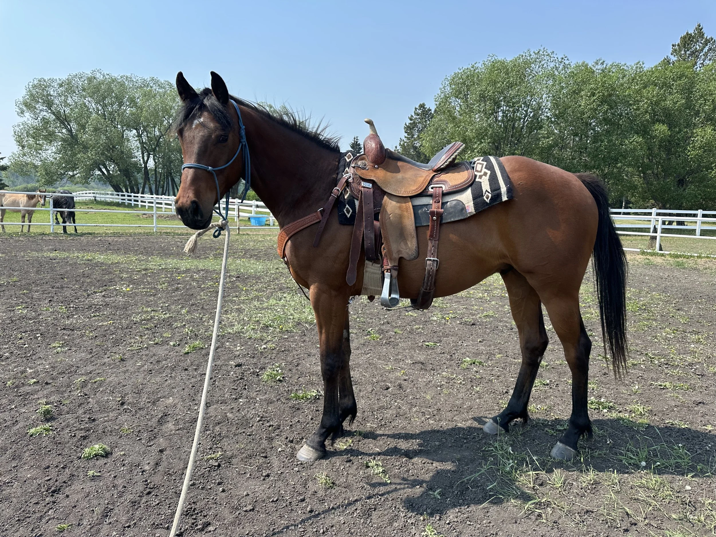 2025-06-10 11.33.24.jpg