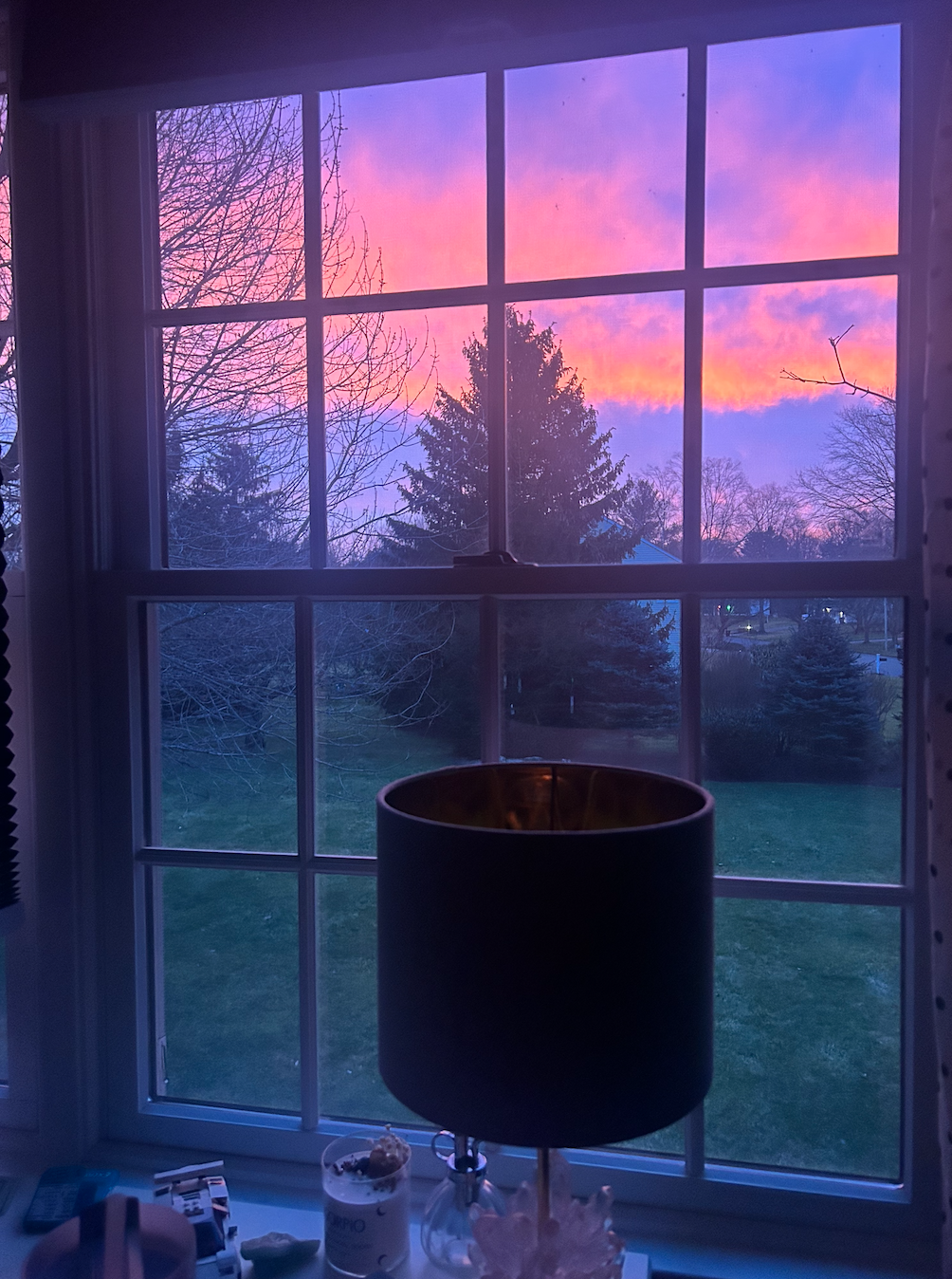 (17, NJ, USA) Chelsea - Planned