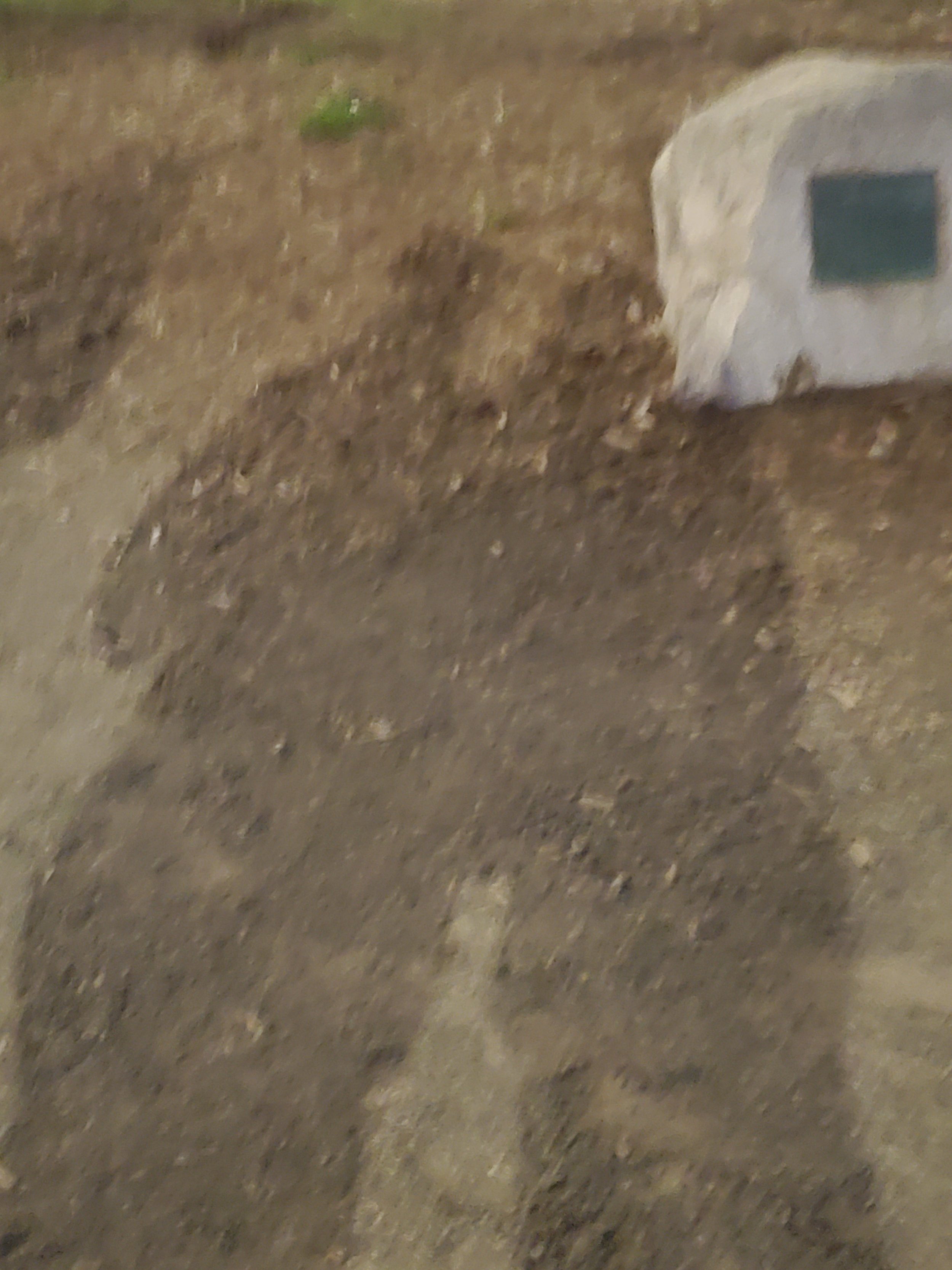 (18, WA, USA) Maira - What Is Love?