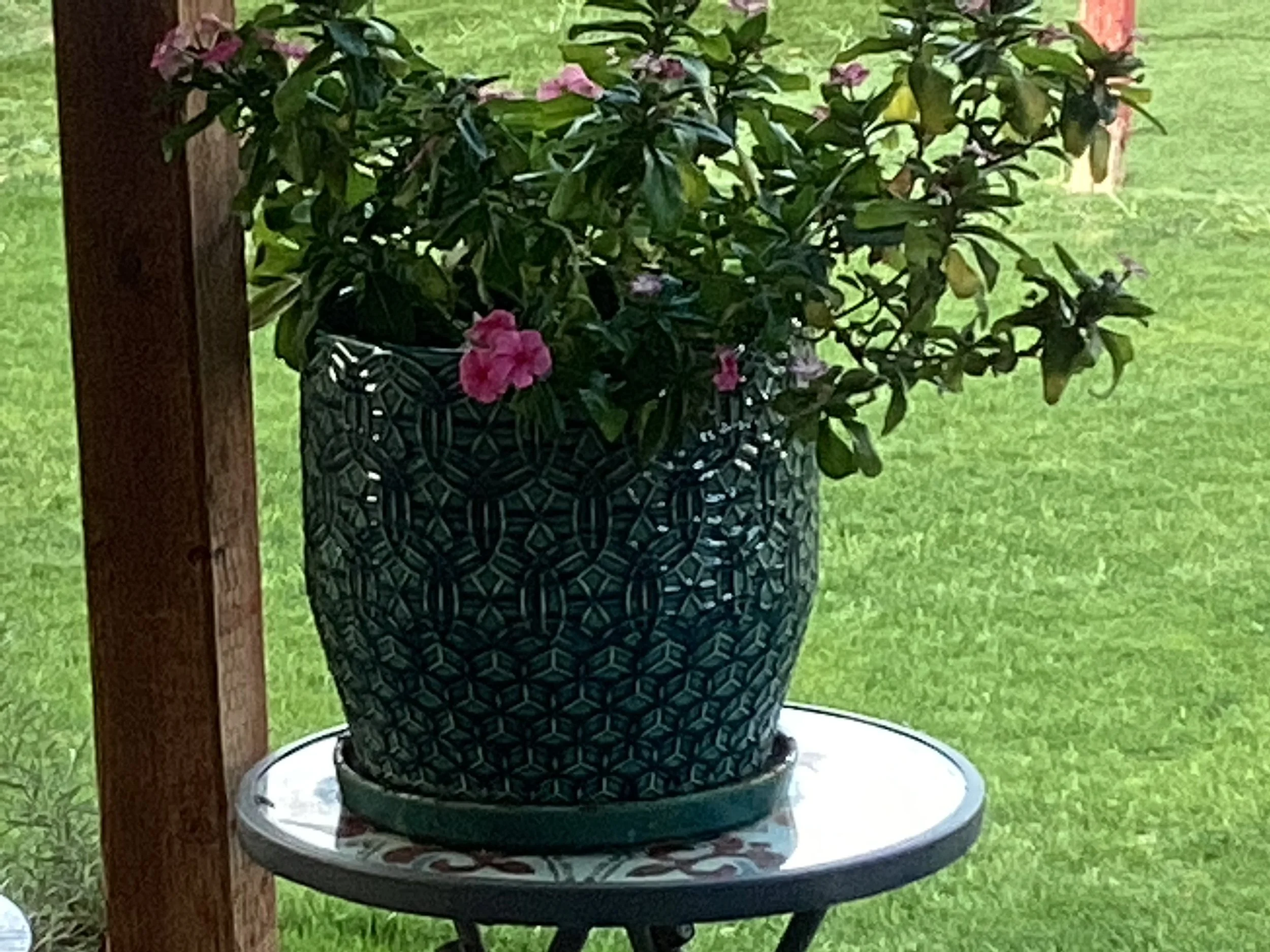 (15, AZ, USA) Anonymous - Human