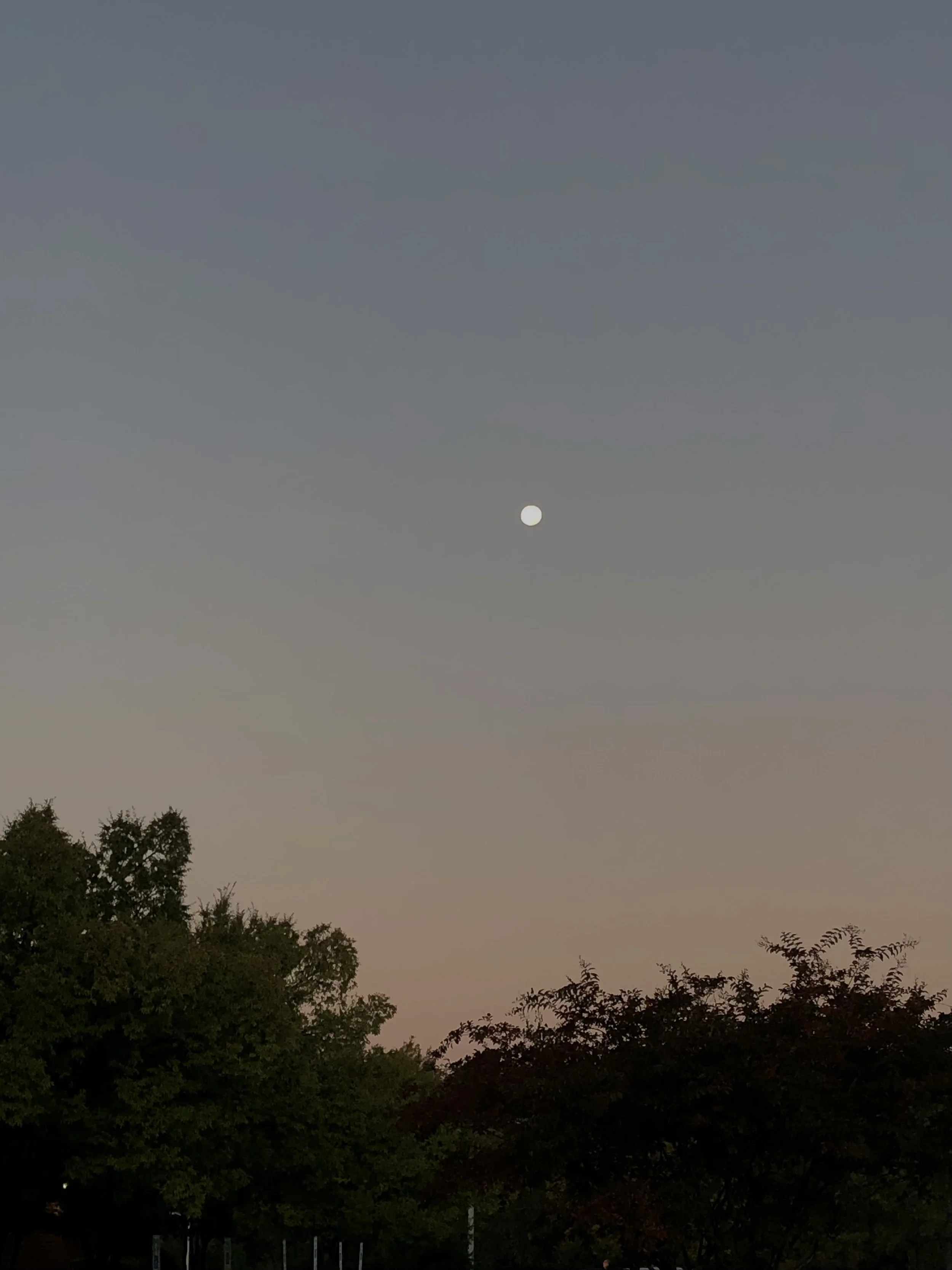 (17, VA, USA) Anonymous - Edge of Seventeen