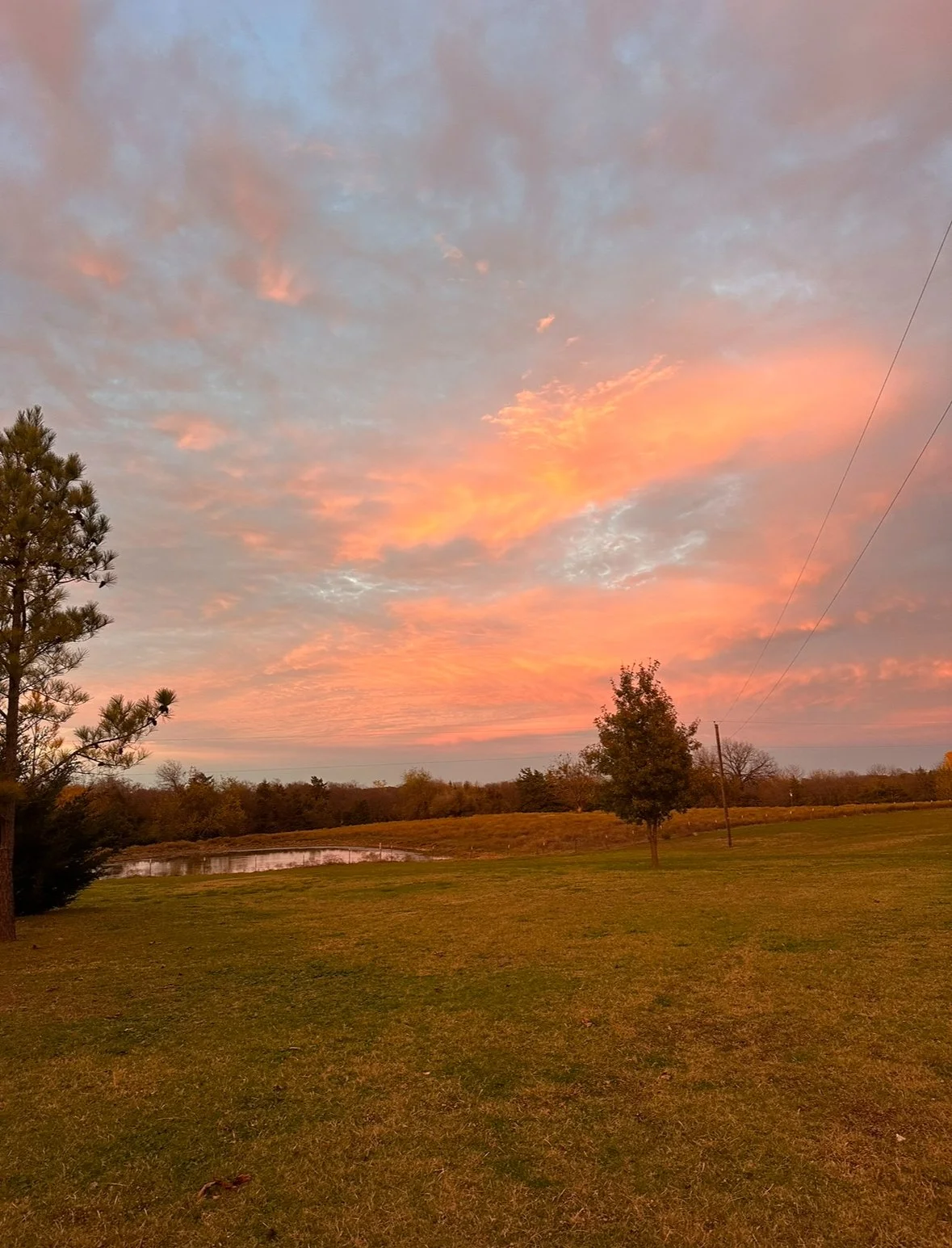  (15, TX, USA) Anonymous - My Story