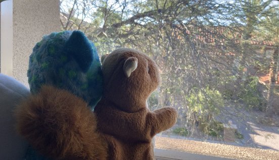 (17, NV, USA) Anonymous -Summertime