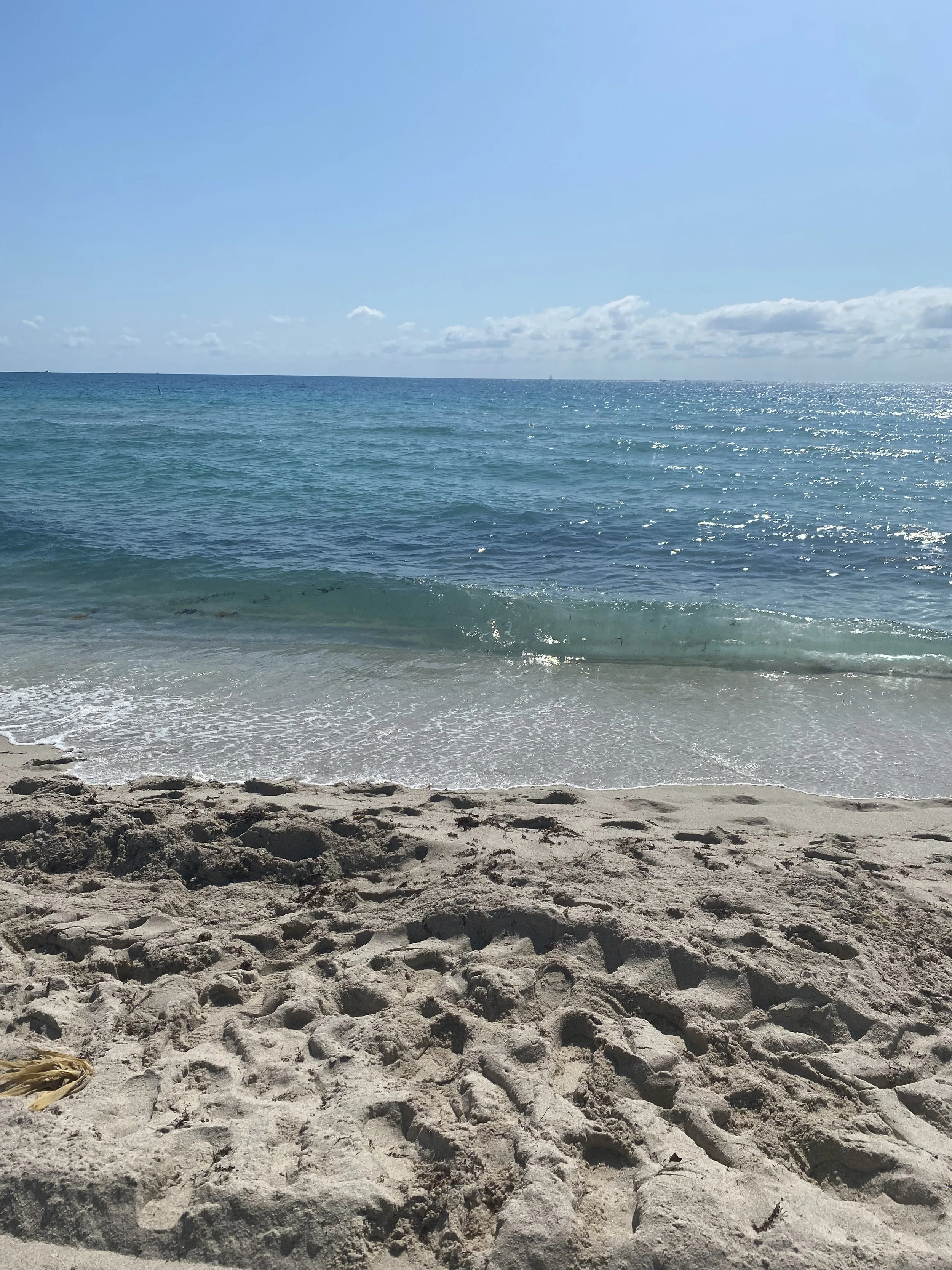 (15, FL, USA) Anonymous - Finding Light 