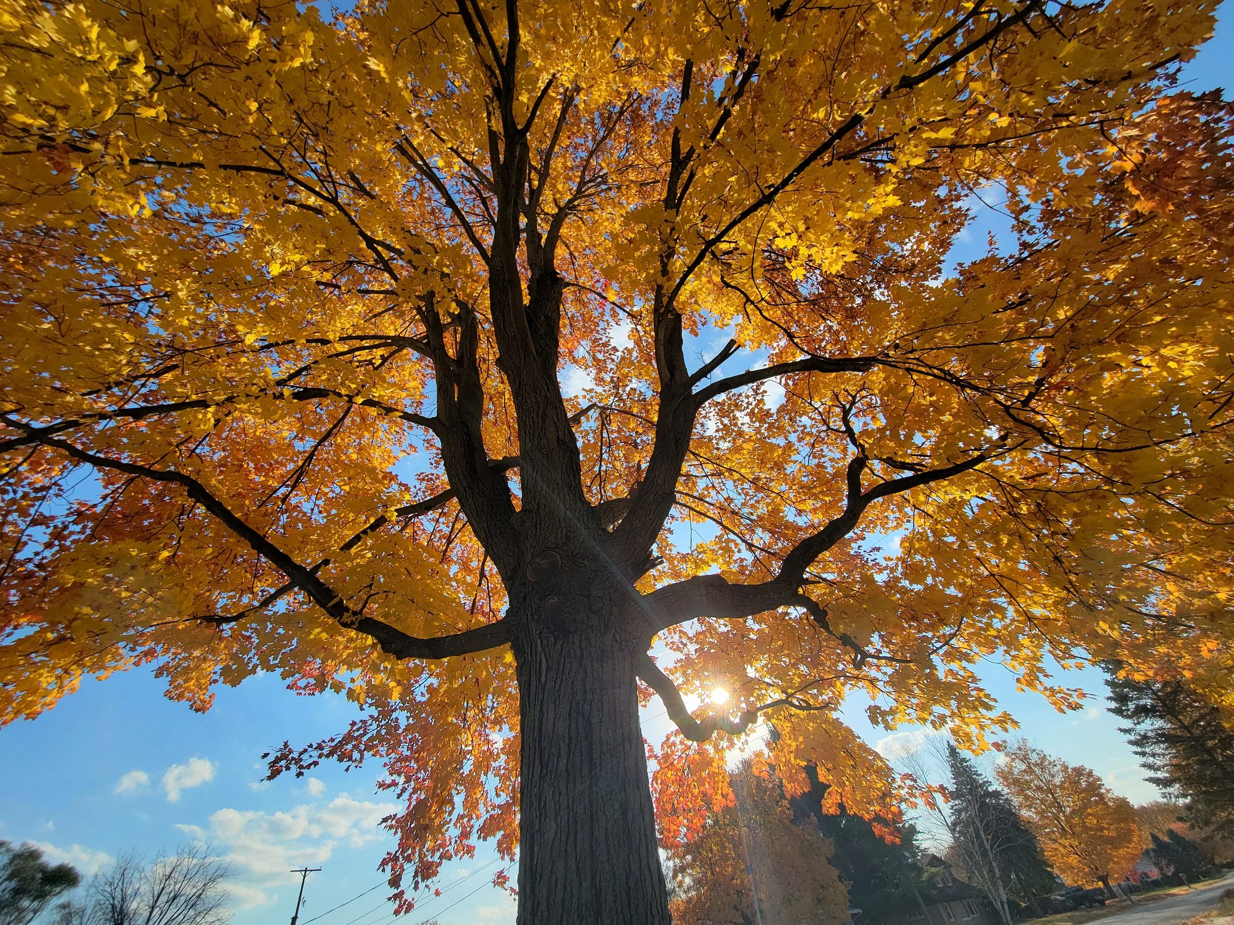 (20, Michigan, USA) Madison - One Small Act
