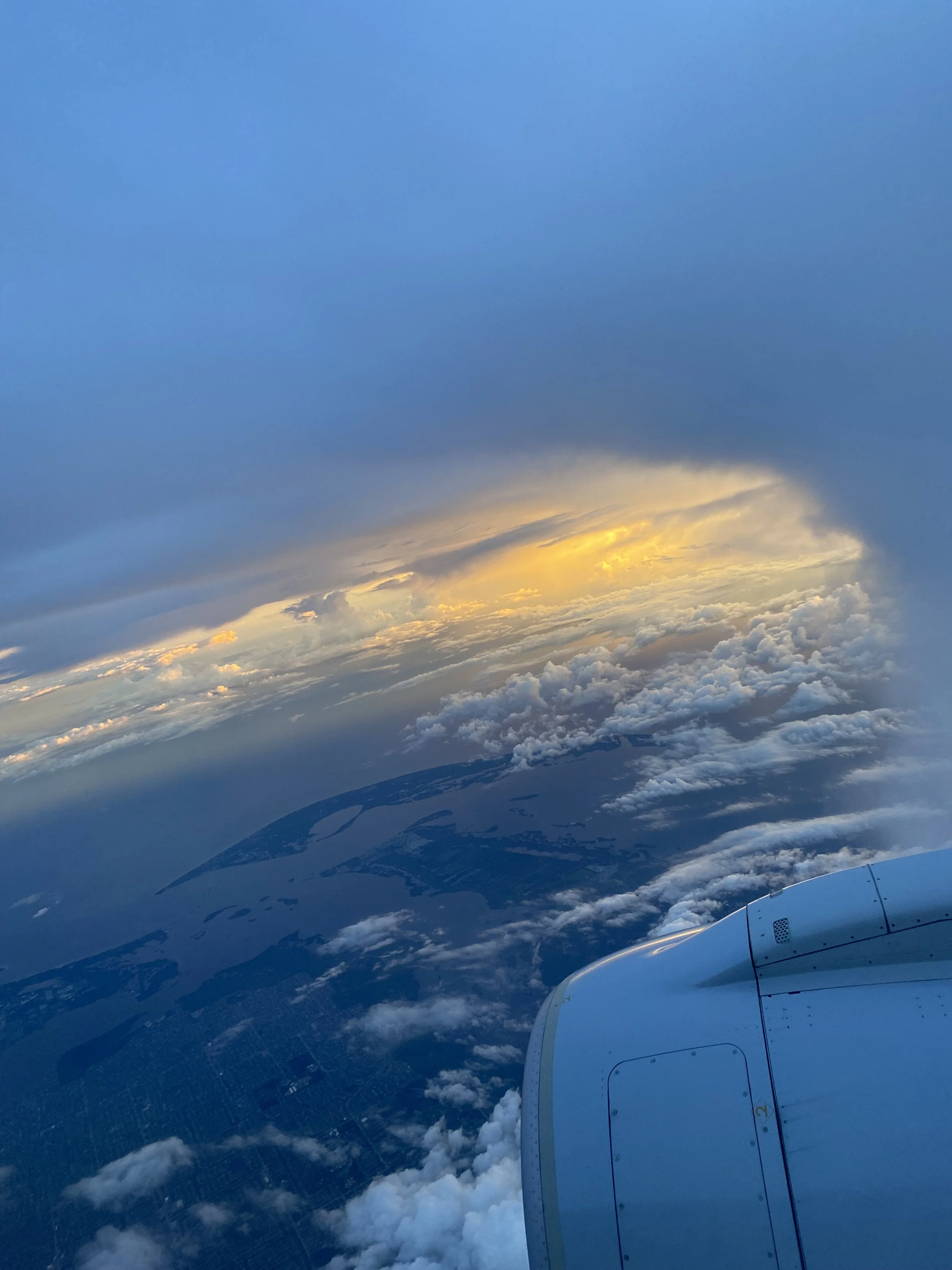 (15, FL, USA) Anonymous - Discovering Florence