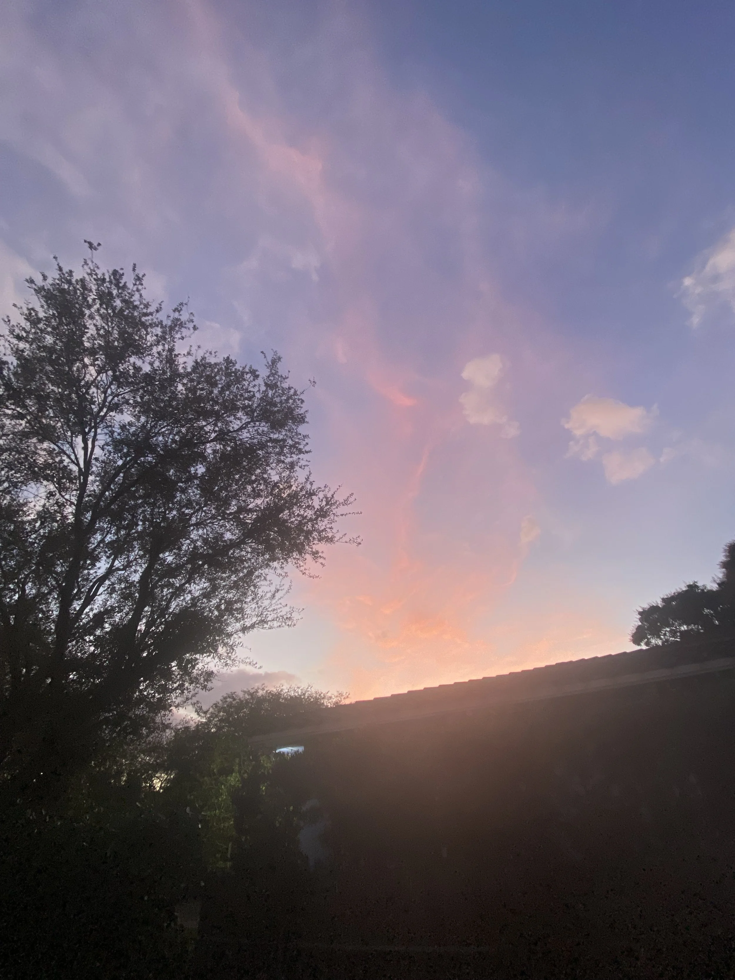 (15, FL, USA) Anonymous - Sunsets