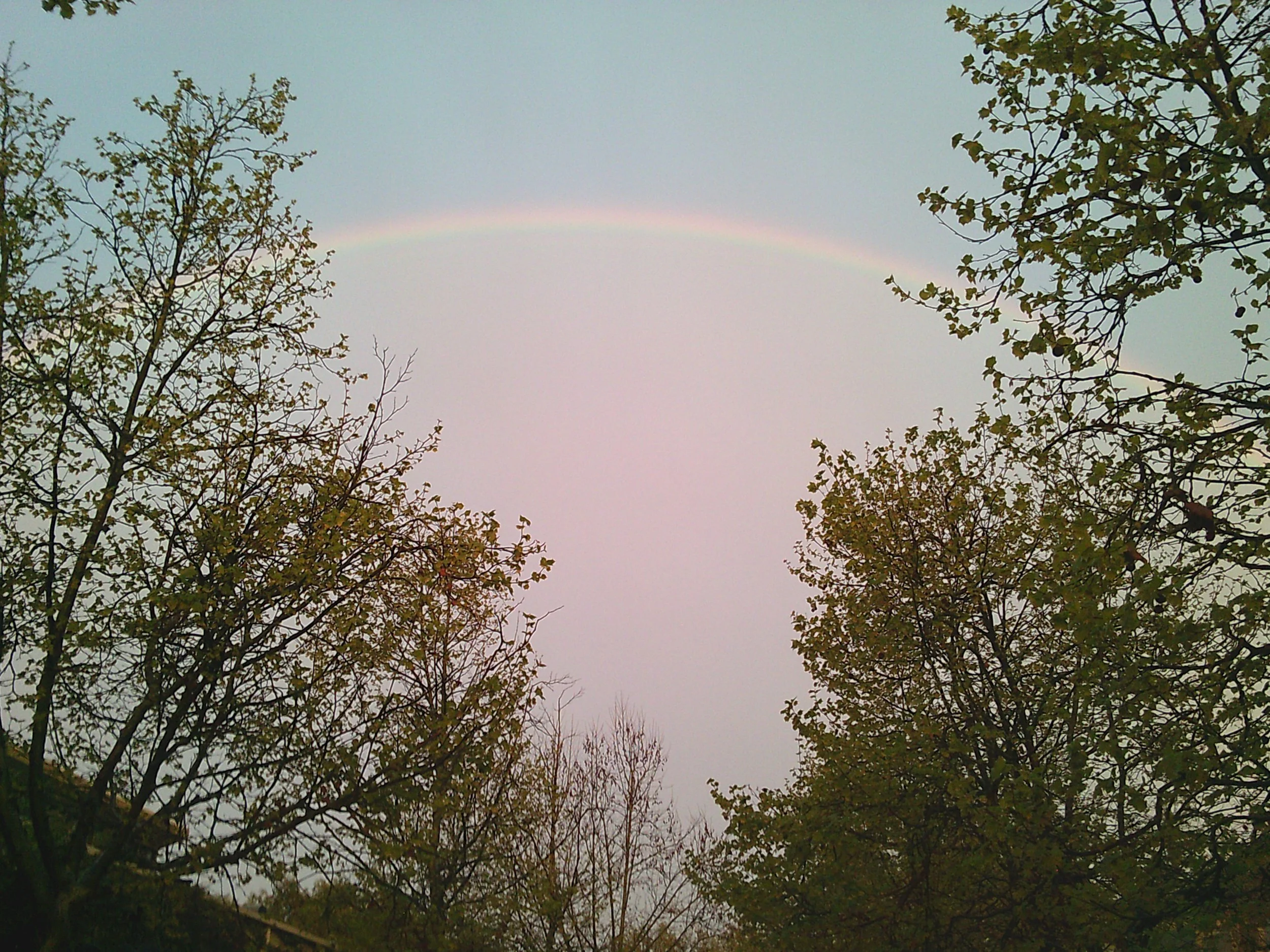 (16, CA, USA) Anonymous - The Class That Ended The Dream