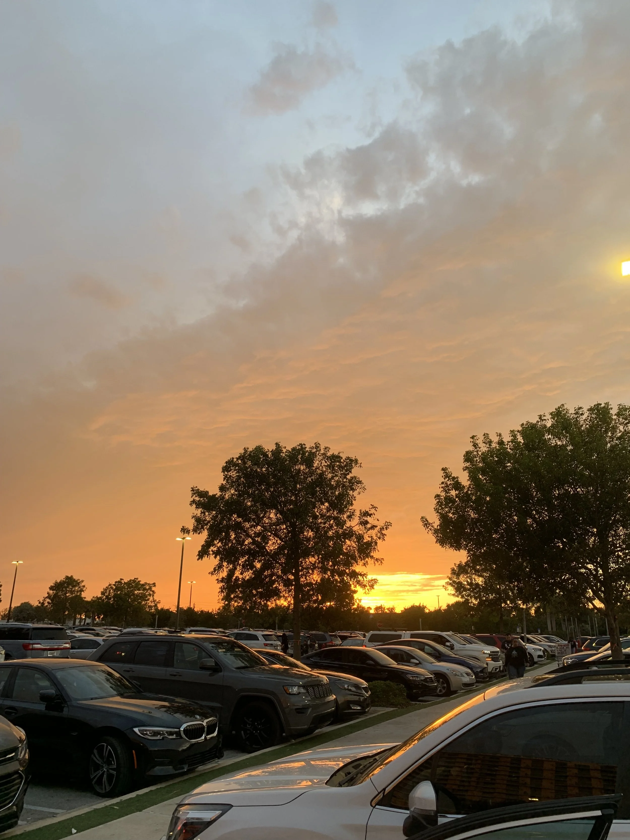 (14, FL, USA) Anonymous - Keep Going