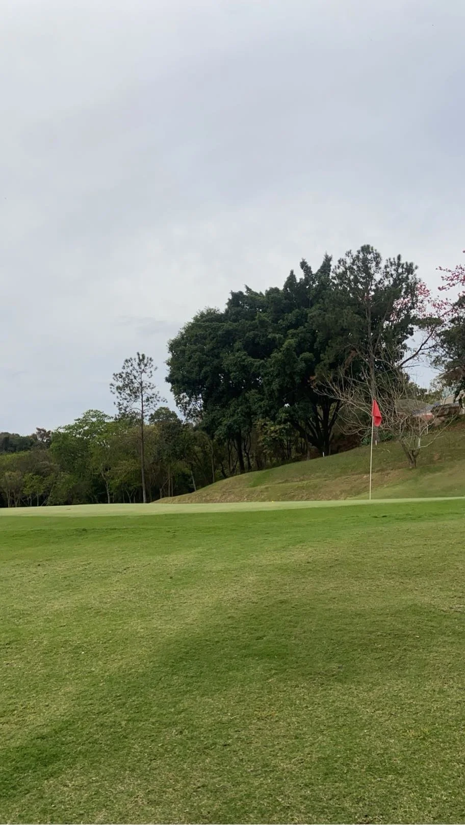 (17, FL, USA) Fran - Golfing Tranquility