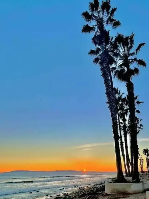 (15, CA, USA) Anonymous - The Beauty of Existence