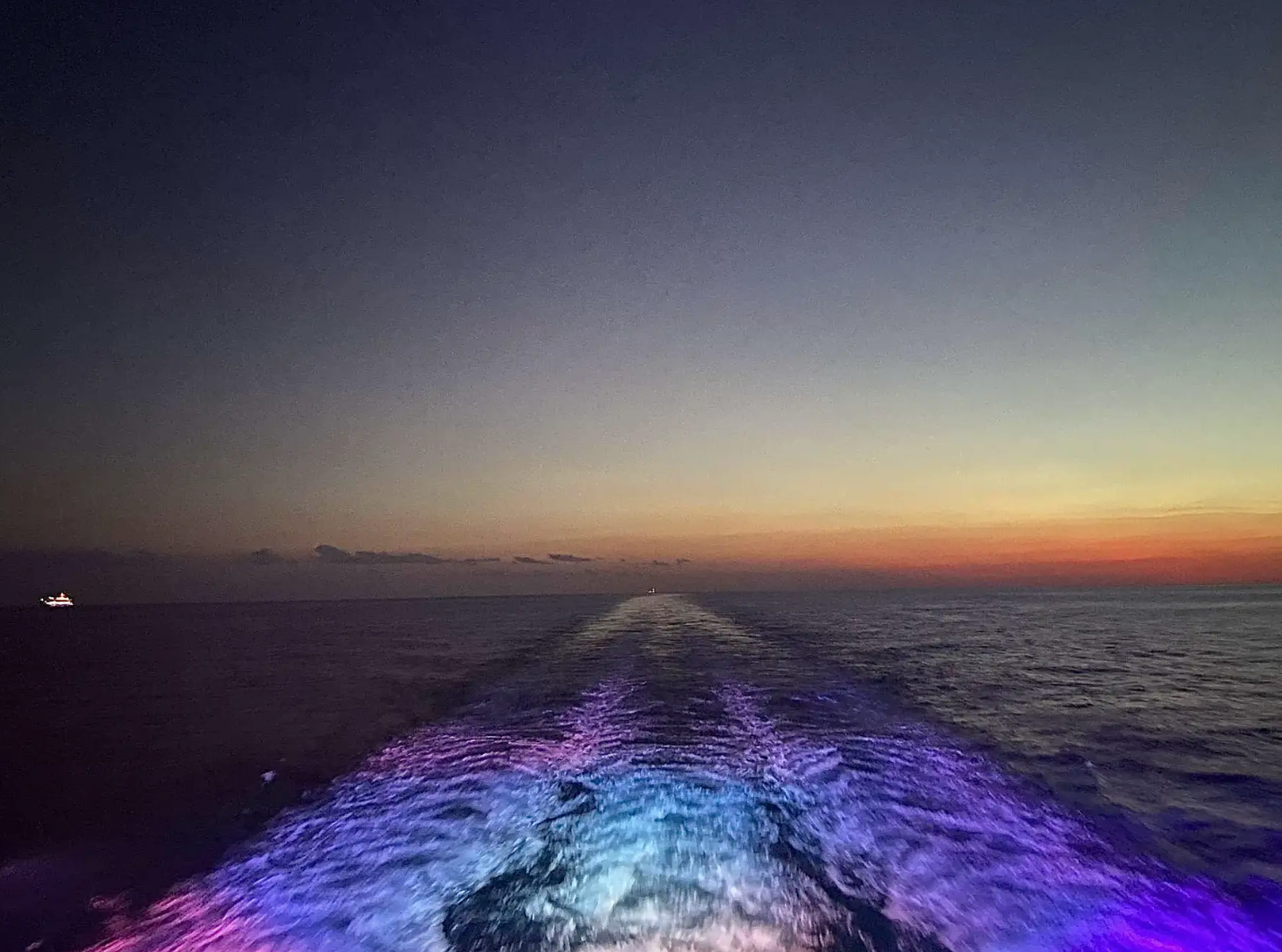 (15, WA, USA) Bella - Love and Loss