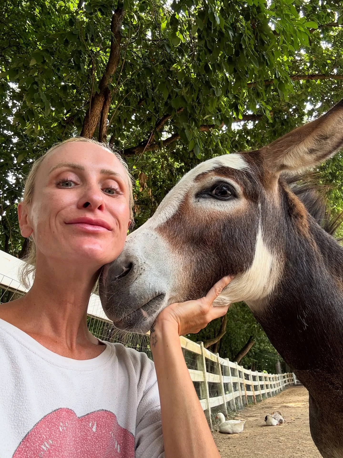 Some days you just need to be in sweats , makeup free, and smooching a donkey