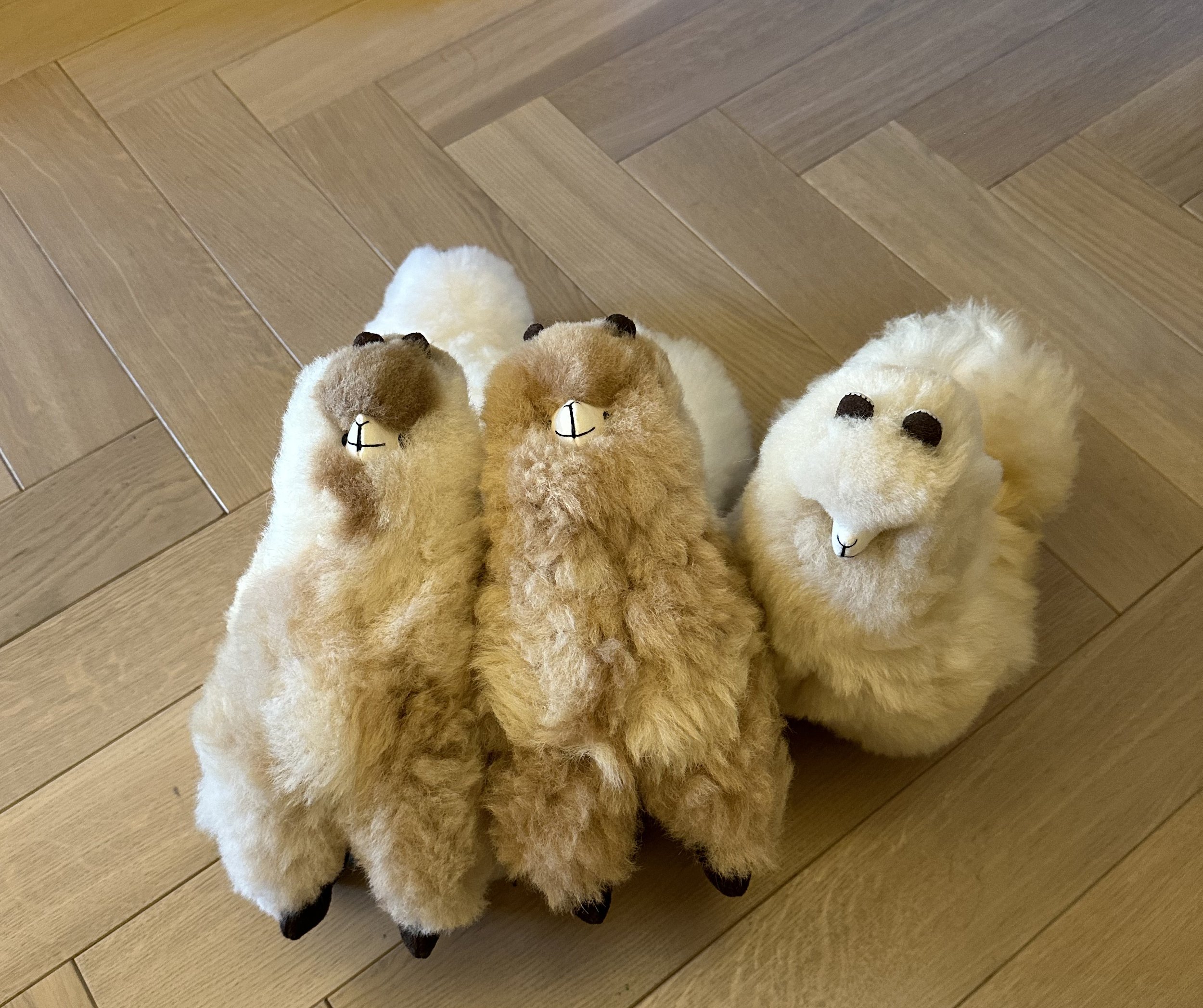 12%22 Standing Alpaca - Casa Alpaca NJ Mutli.jpg
