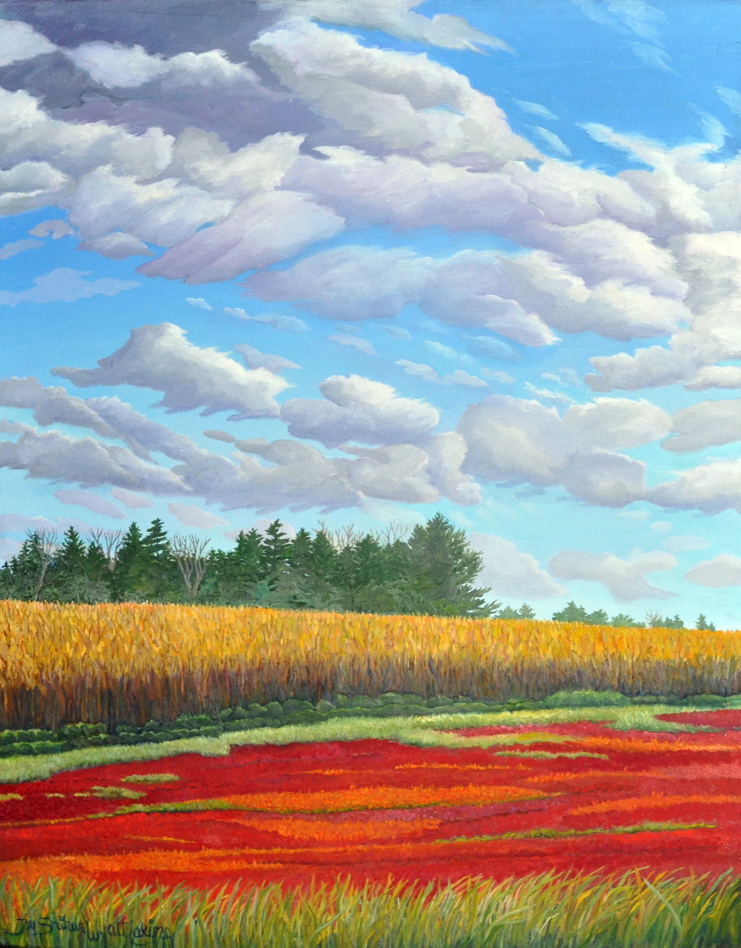 Autumn, Corn and Blueberry Field
oil, 61 x 76
$ 4,500