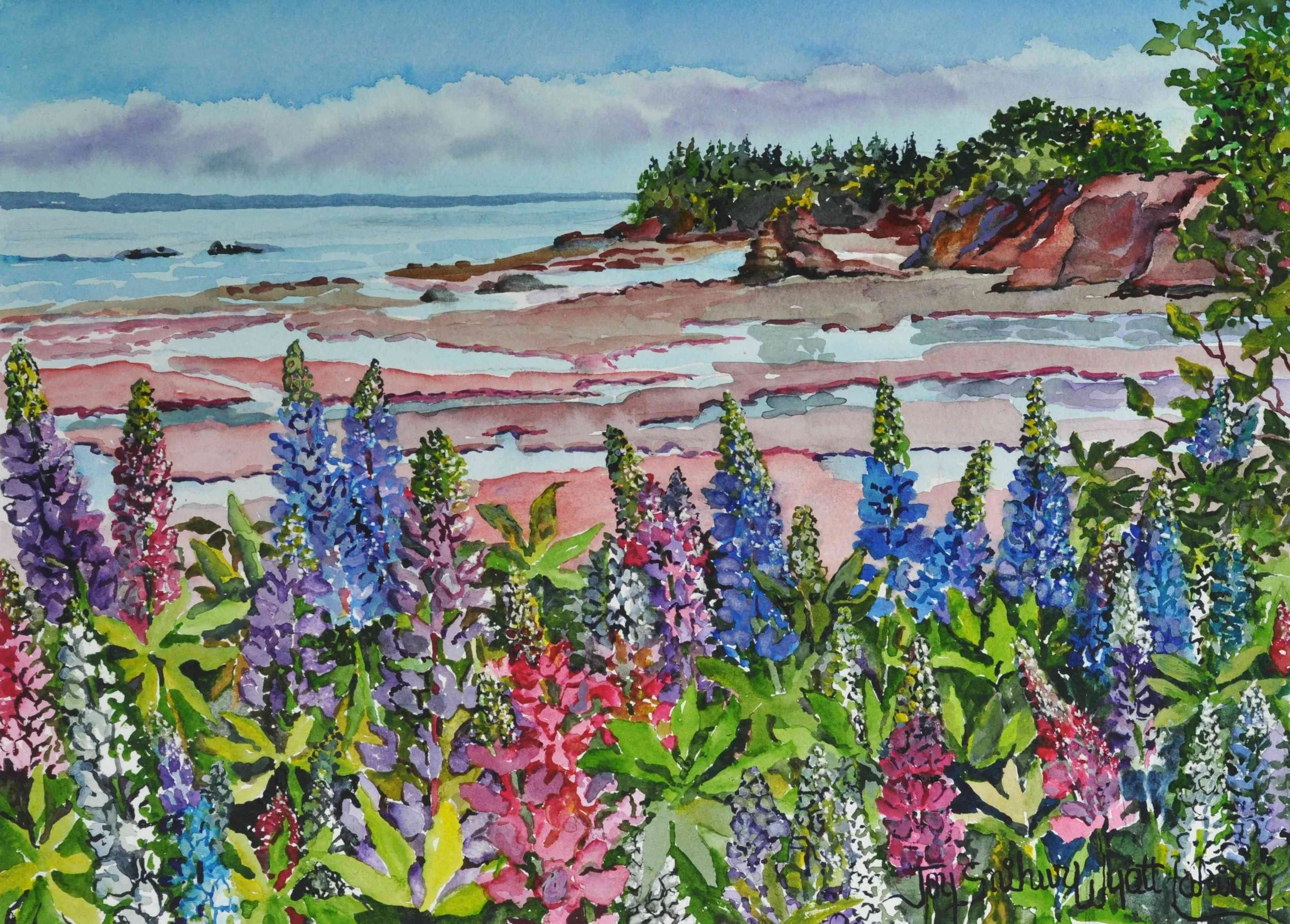 Lupins at Soley Cove
Watercolour, 25 x 36
$900