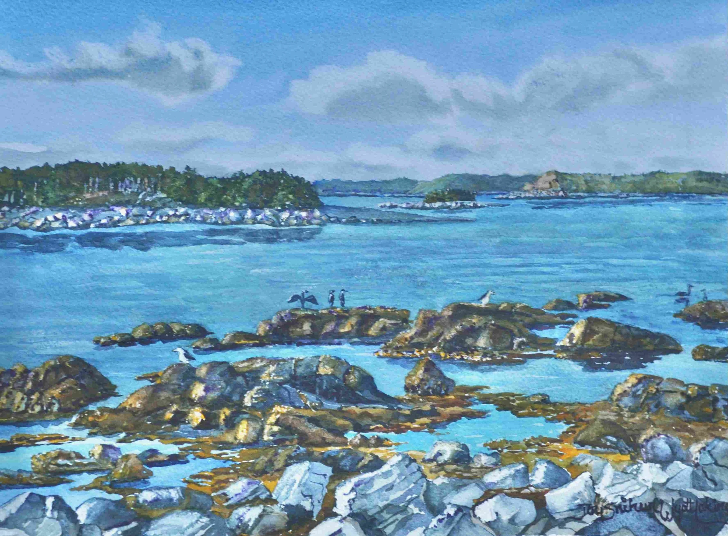 Shore path at Port Bickerton
Watercolour, 25 x 36
$900