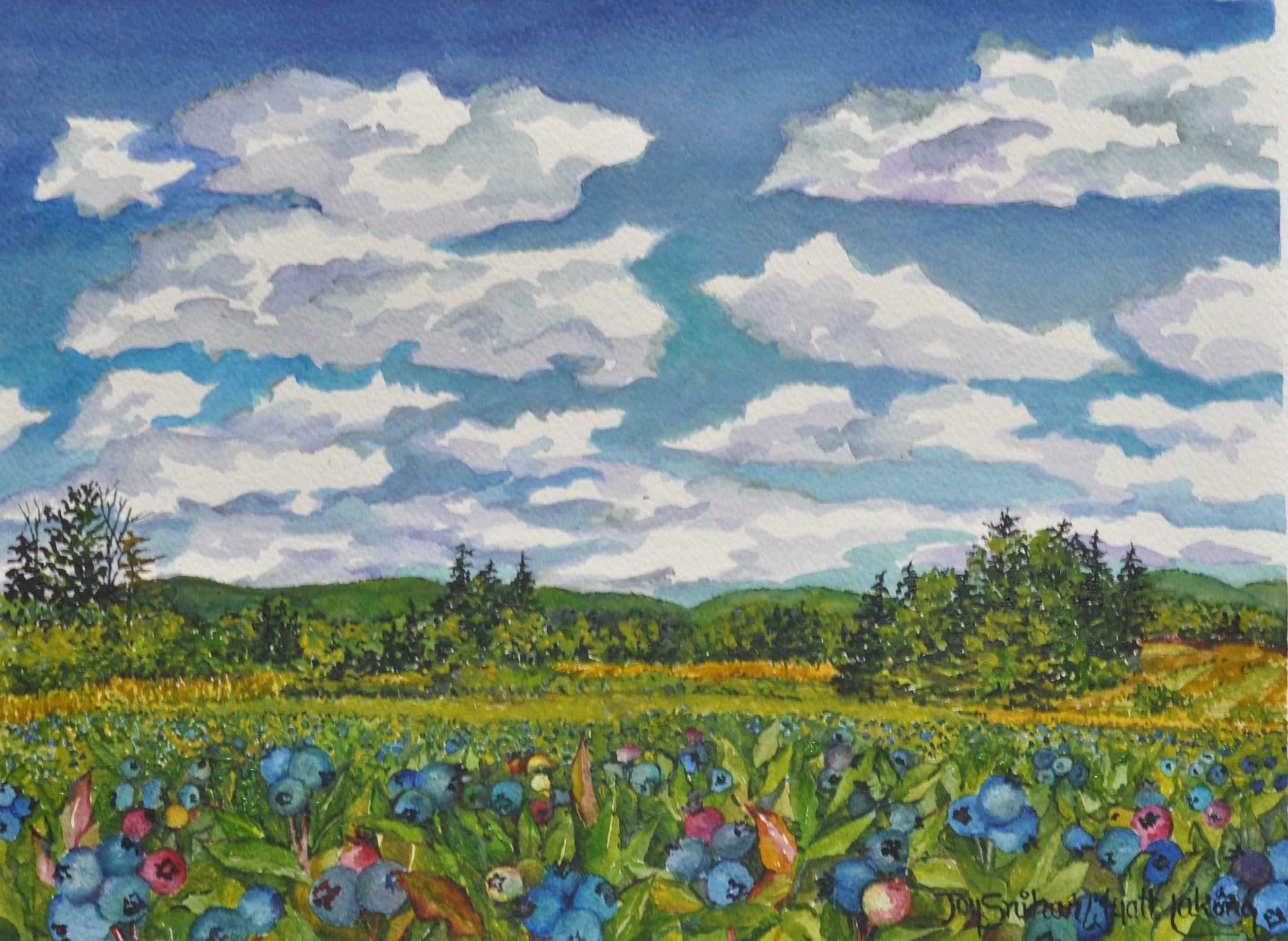 Blueberries in Portapique
Watercolour, 25 x 36
$900