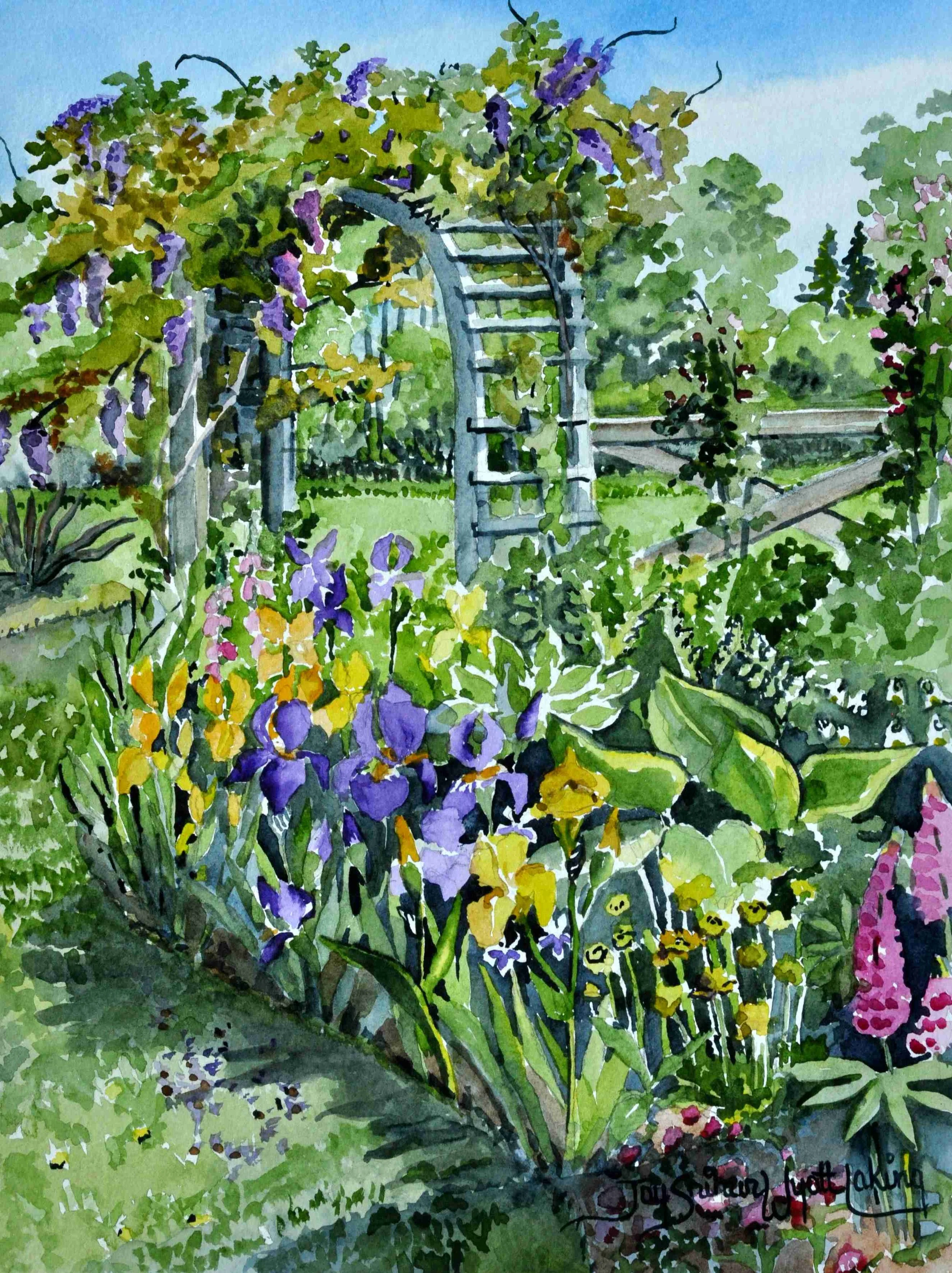 Garden in Great Village
watercolour, 36 x 26
$ 900