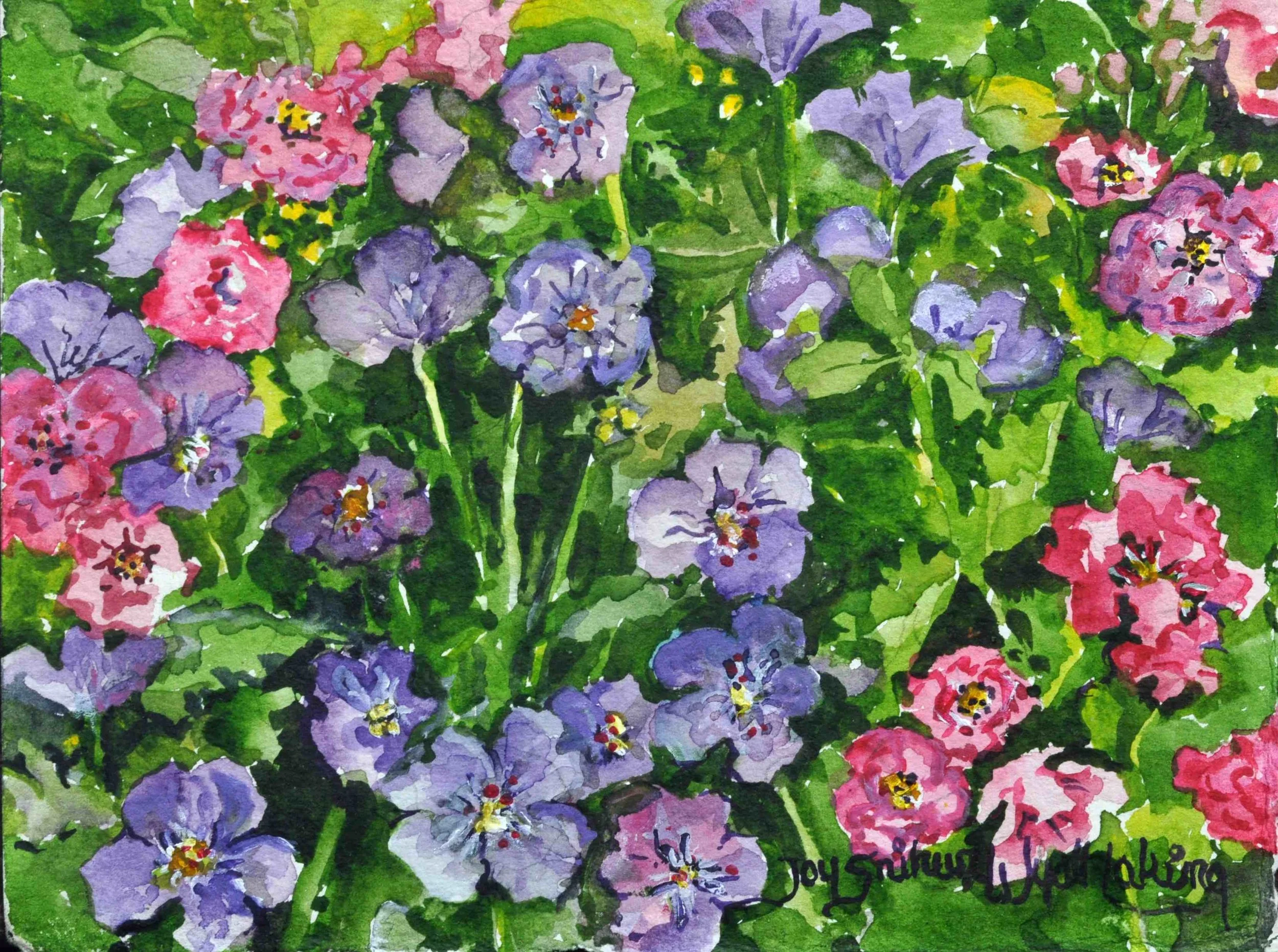 Roses and Perennial Geraniums
Watercolour, 13 x 18
$400