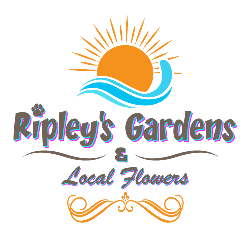 Ripley&#39;s Gardens &amp; Local Flowers