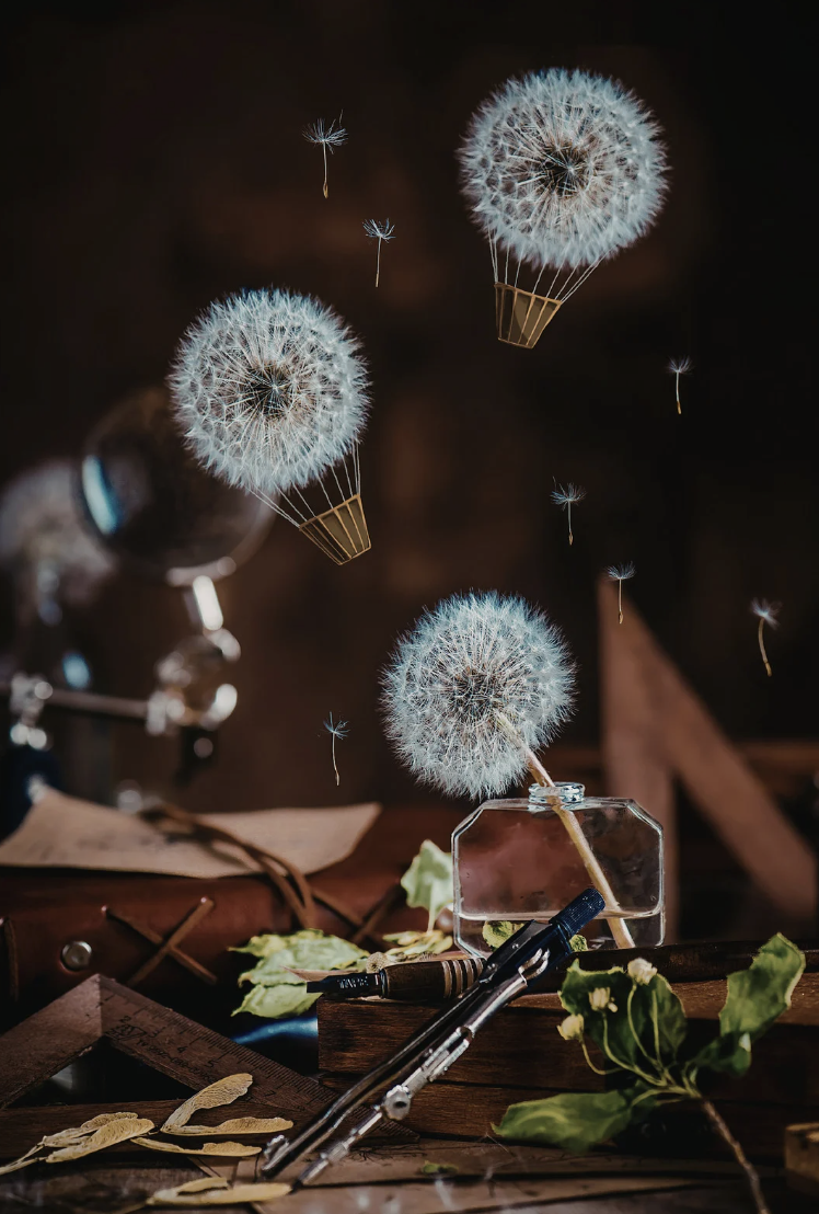 10 Whimsical Projects to Make Your Year Feel Magical