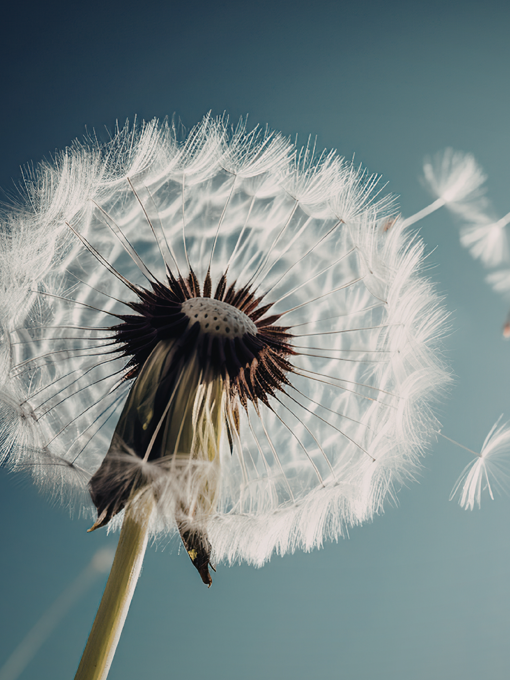 Releasing What God Never Asked Me to Hold