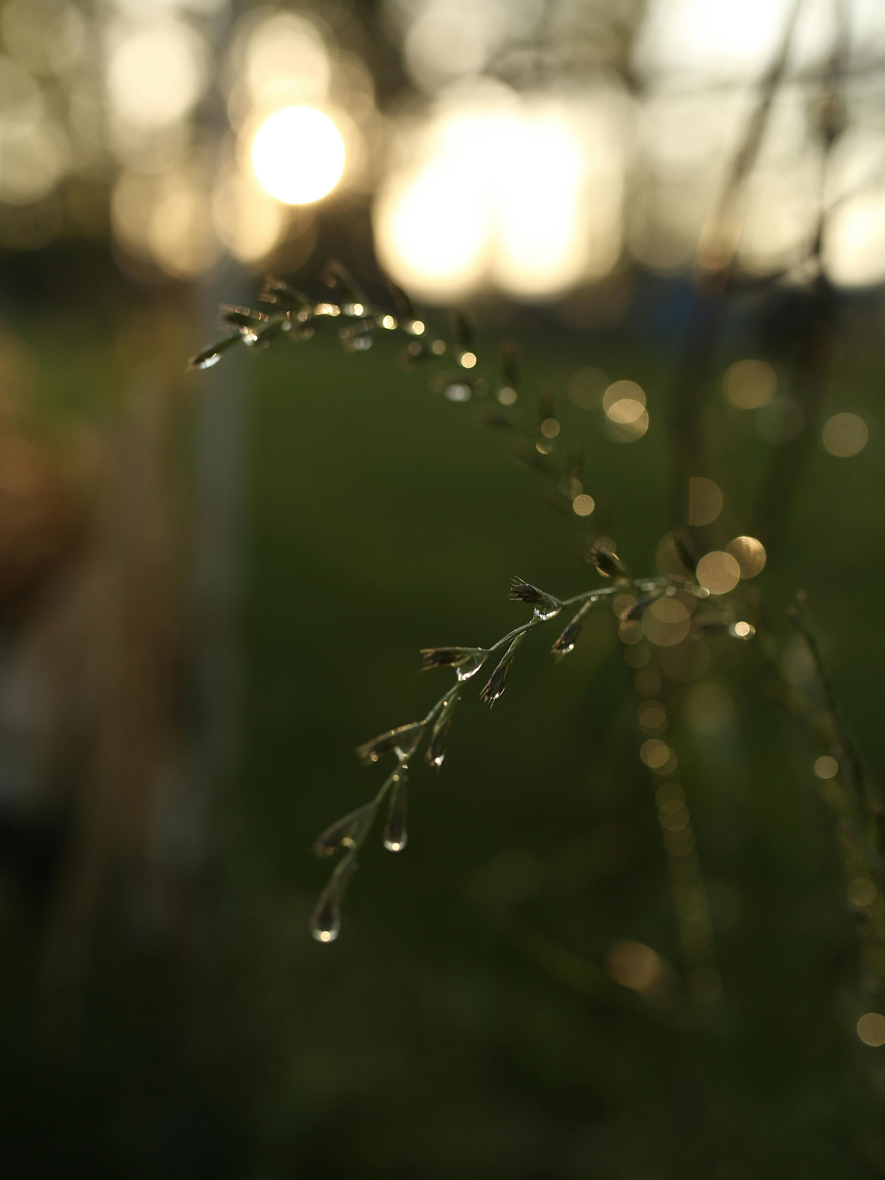 The Prayer of Your Senses (Experiencing God Through Touch, Taste, and Sound).