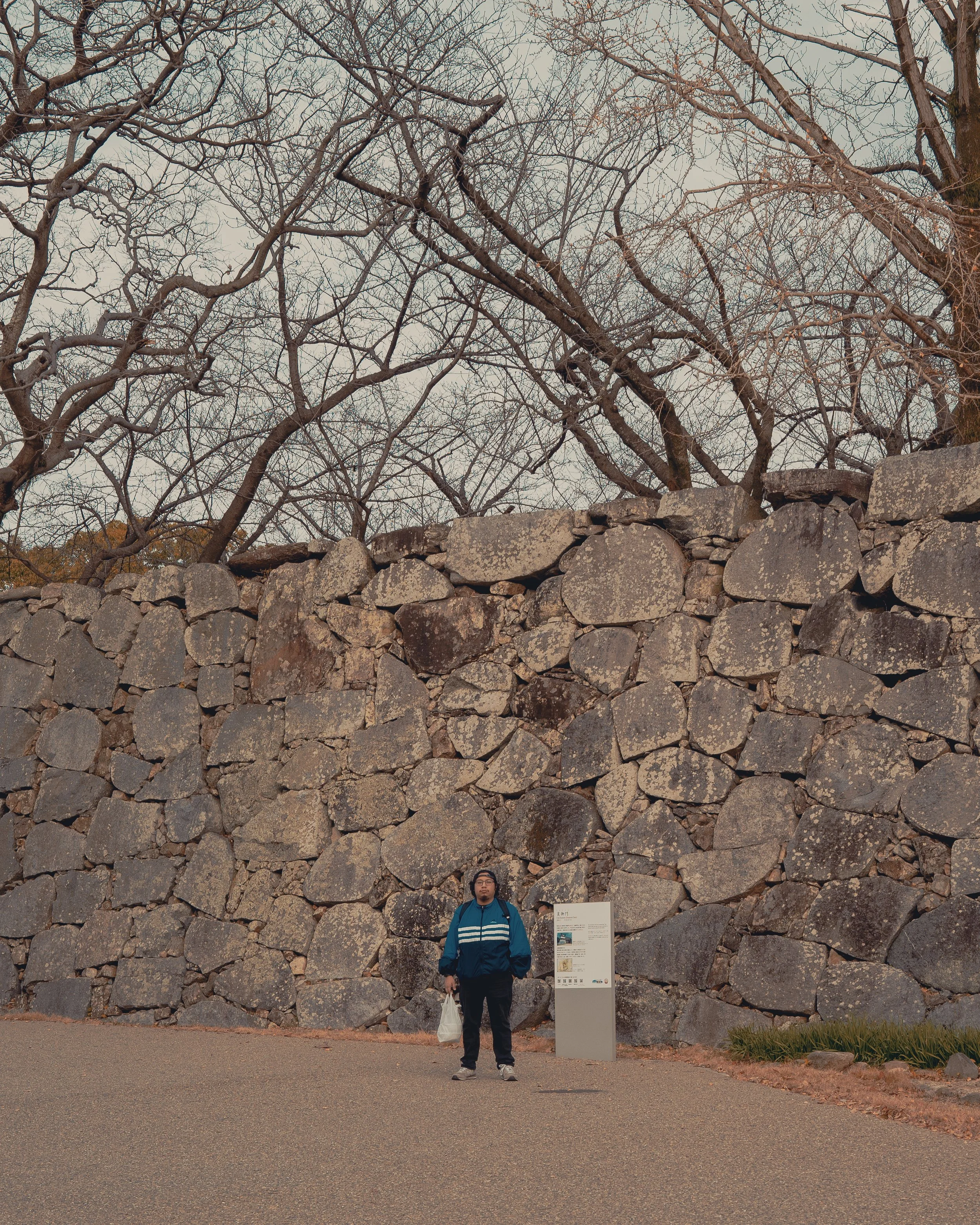 A man stands in front of a tall stone wall with leafless trees overhead and a signpost nearby.