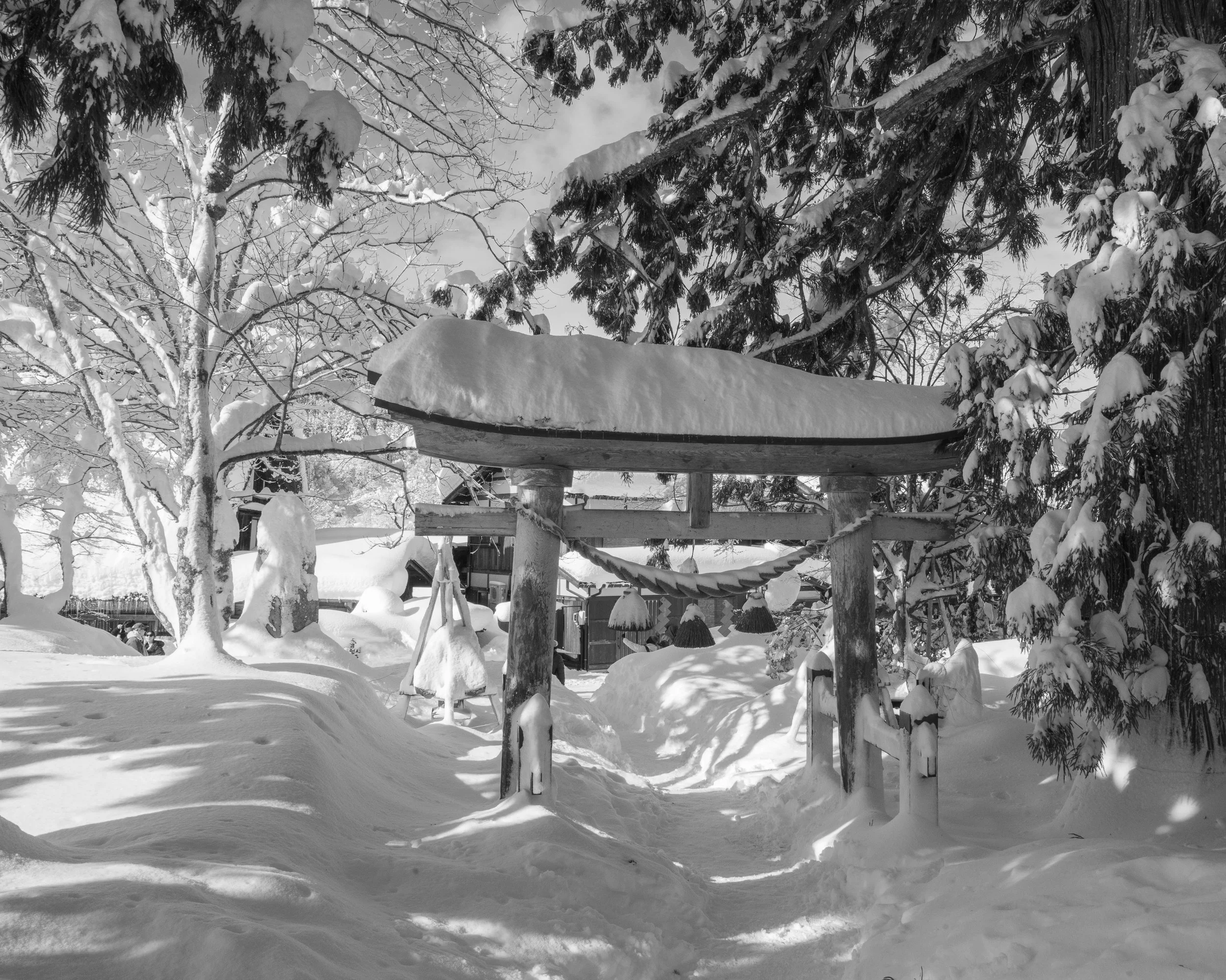 Snow-covered traditional Japanese torii gate in a winter landscape surrounded by snow-laden trees.