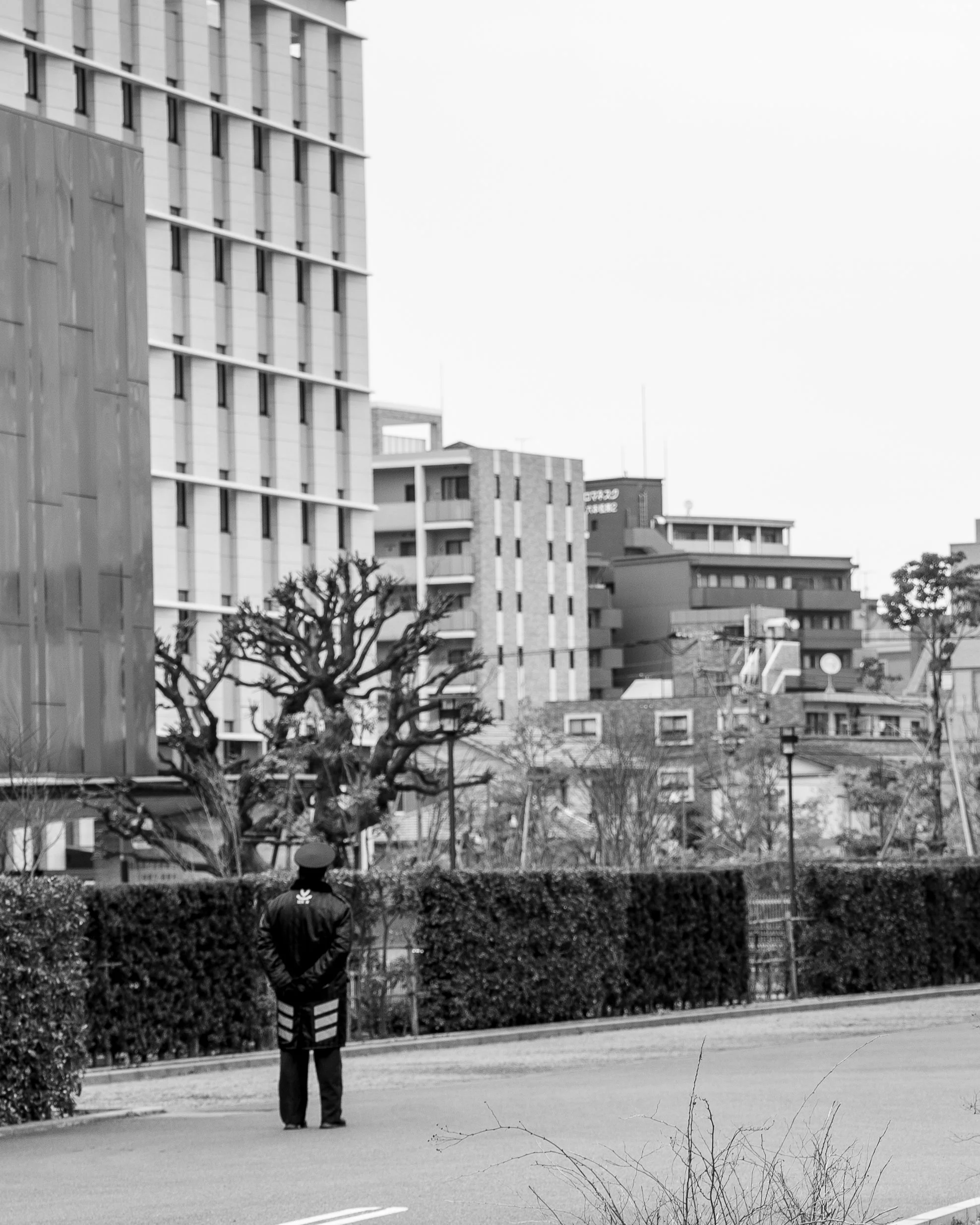 A solitary security guard stands facing away in an urban park, surrounded by trimmed bushes, with modern buildings and a large flowering tree in the background.