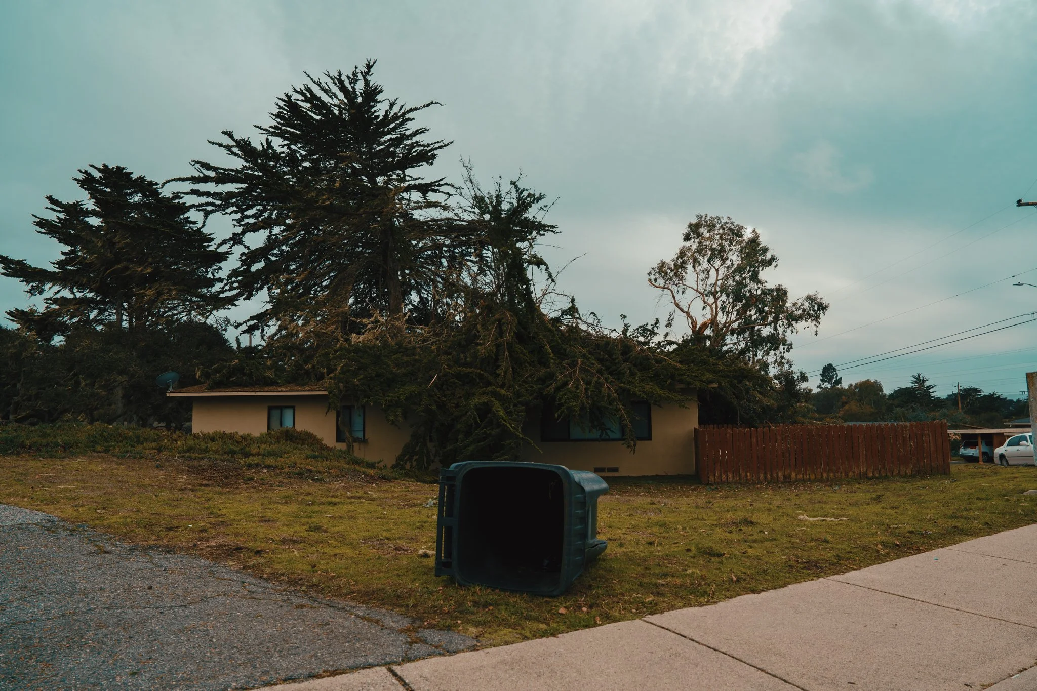 A fallen trash bin on the grass in front of a house, with large trees and a cloudy sky in the background.