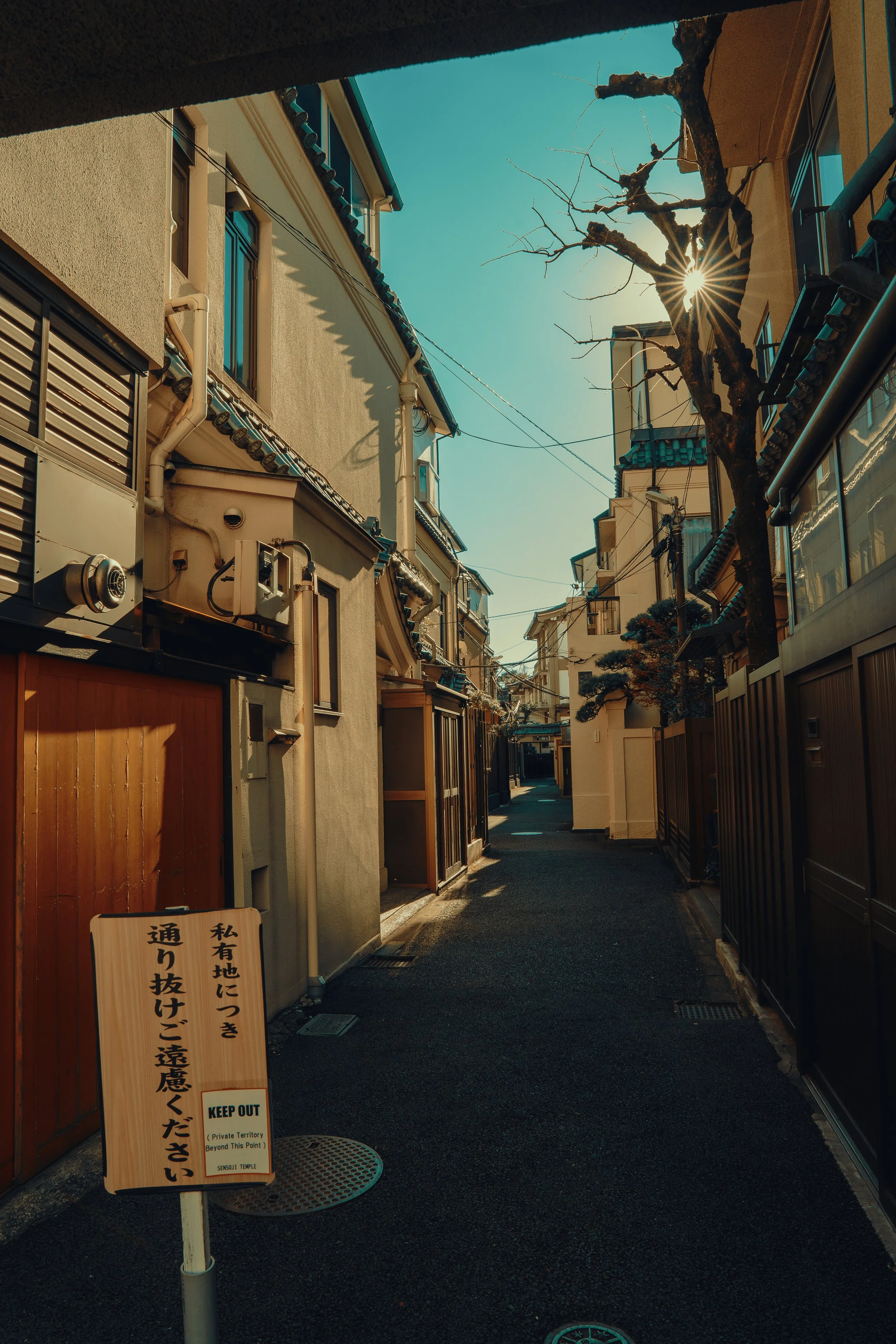 Narrow alleyway between traditional Japanese houses with a leafless tree and sunlight peeking through branches, and a sign in Japanese and English reading 'Keep Out' and 'Private Territory Beyond This Point'.