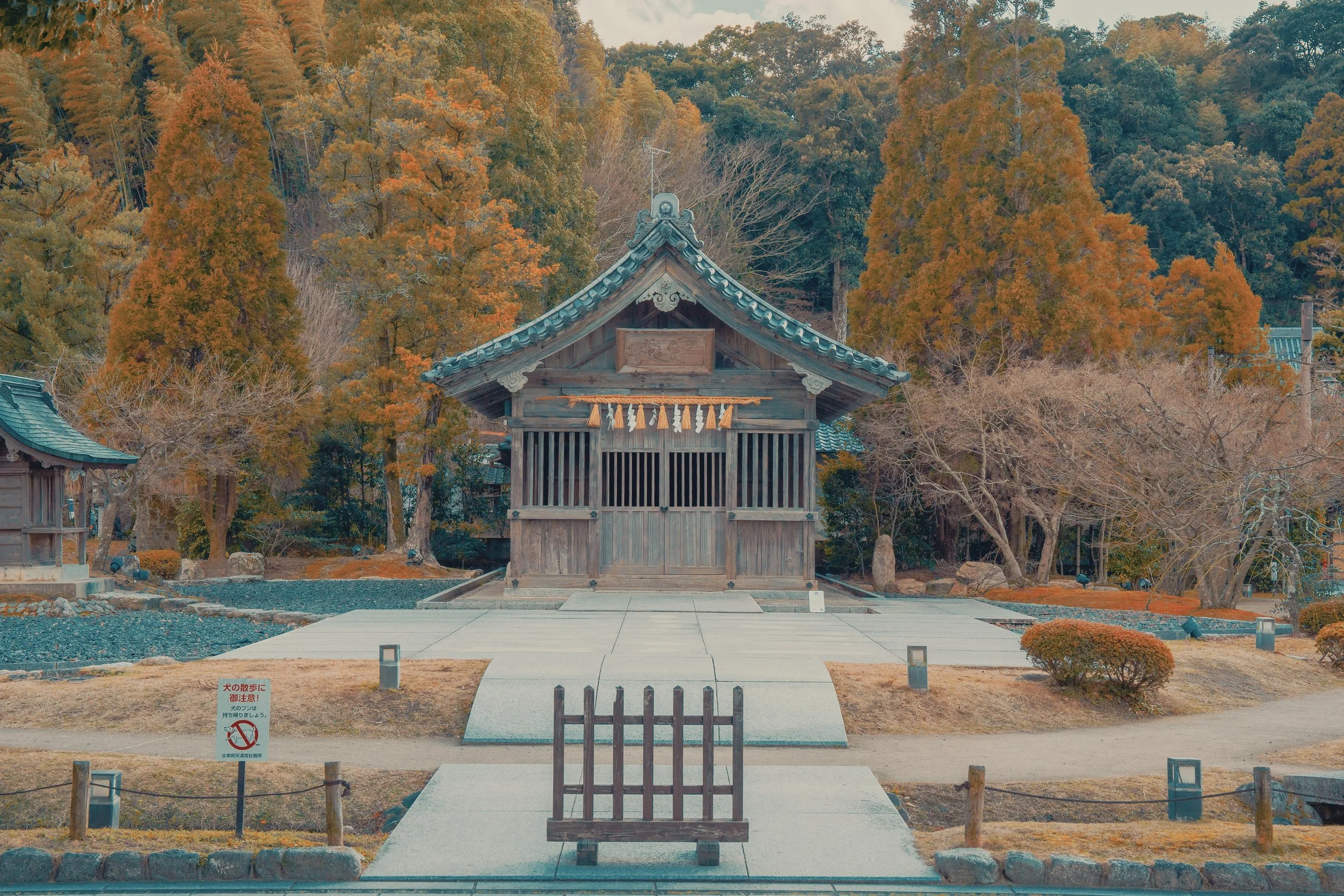 A traditional Japanese shrine surrounded by autumn trees with orange and green foliage, and a fenced pathway leading to the shrine's wooden structure.
