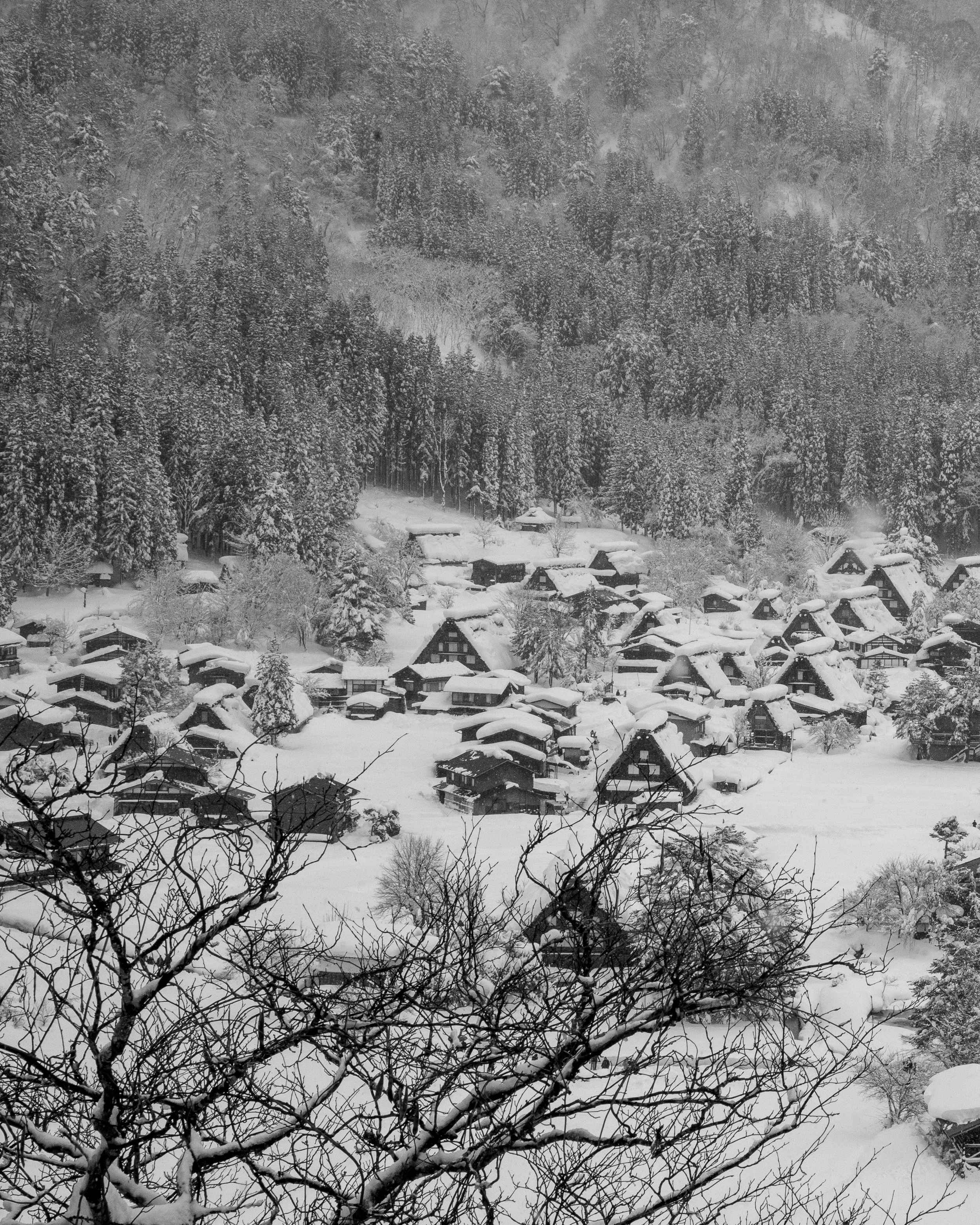 A snowy village nestled in a forested mountain landscape, with snow-covered roofs and trees.
