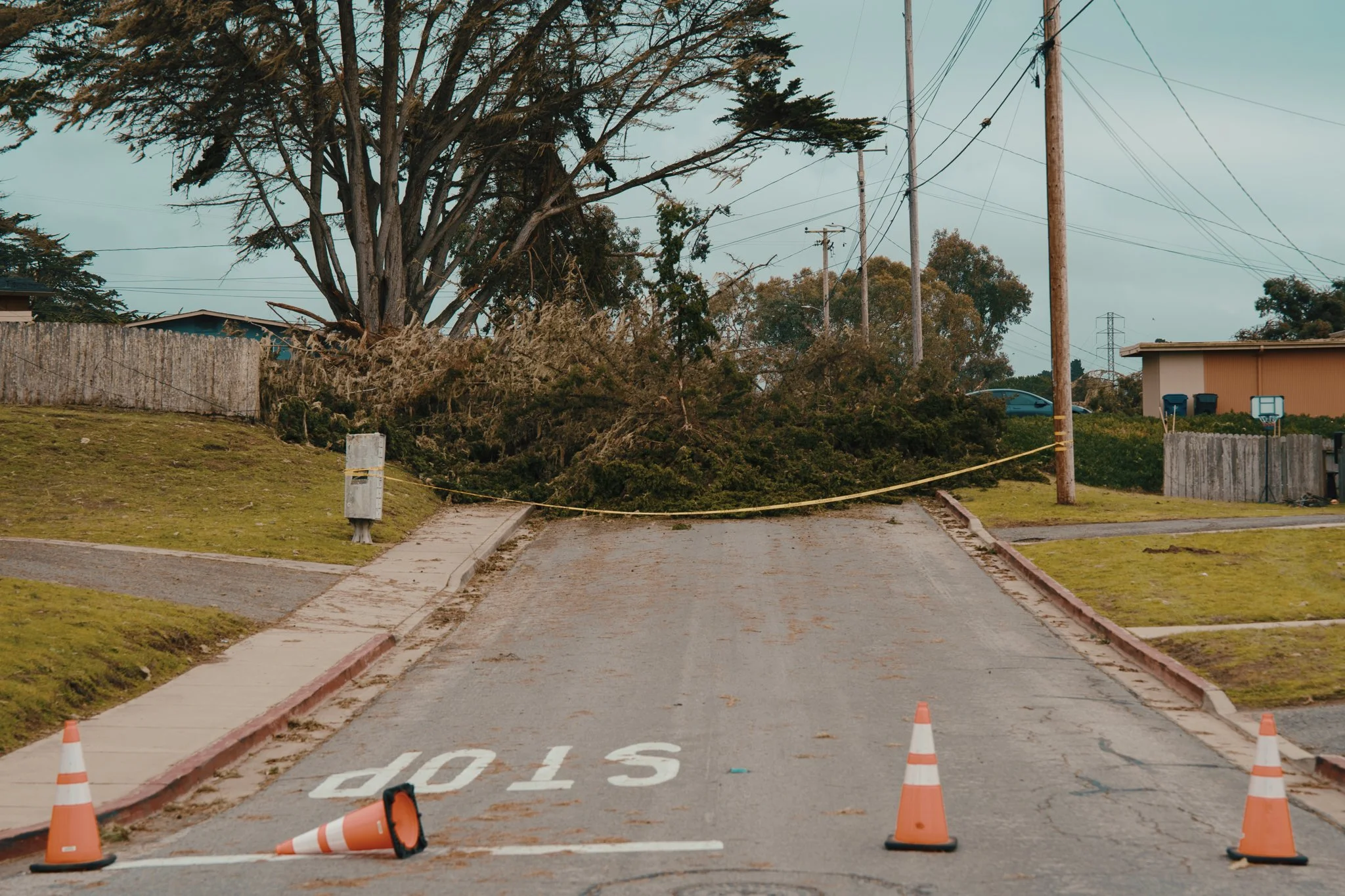 Fallen tree blocking a residential street, with traffic cones and caution tape indicating road closure.