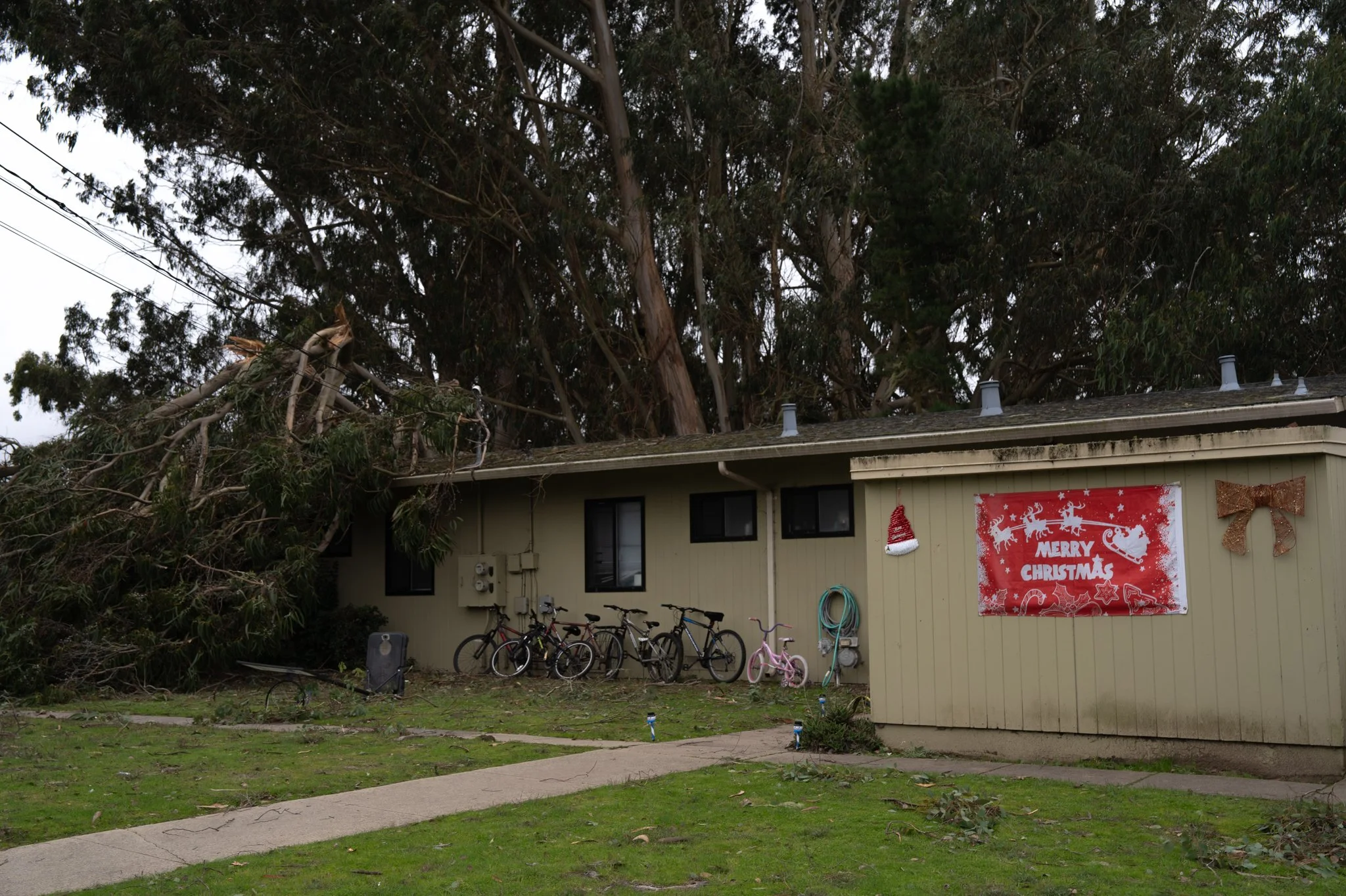 A house with a Christmas banner and decorations, with damaged trees leaning on the roof, and bicycles parked outside.