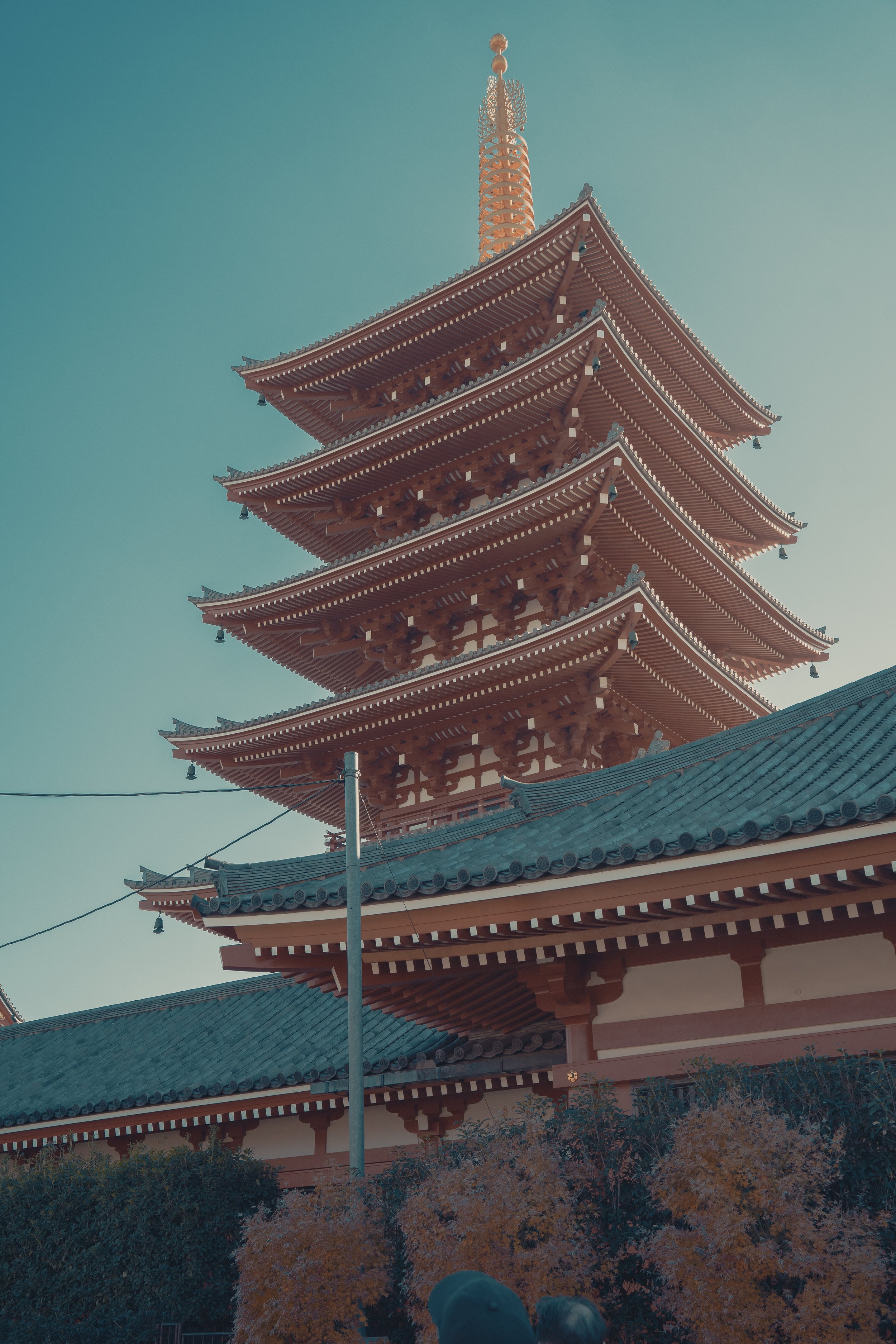 A traditional multi-tiered pagoda with curved eaves, set against a clear sky, surrounded by trees and some power lines.