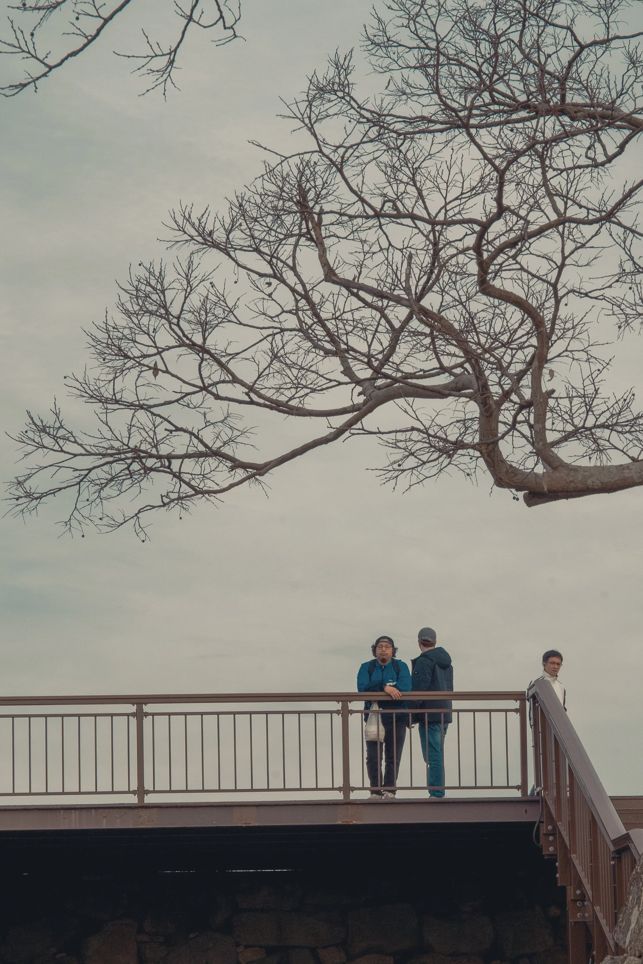 Three people standing on a concrete bridge with metal railing, under a barren tree with leafless branches, against an overcast sky.