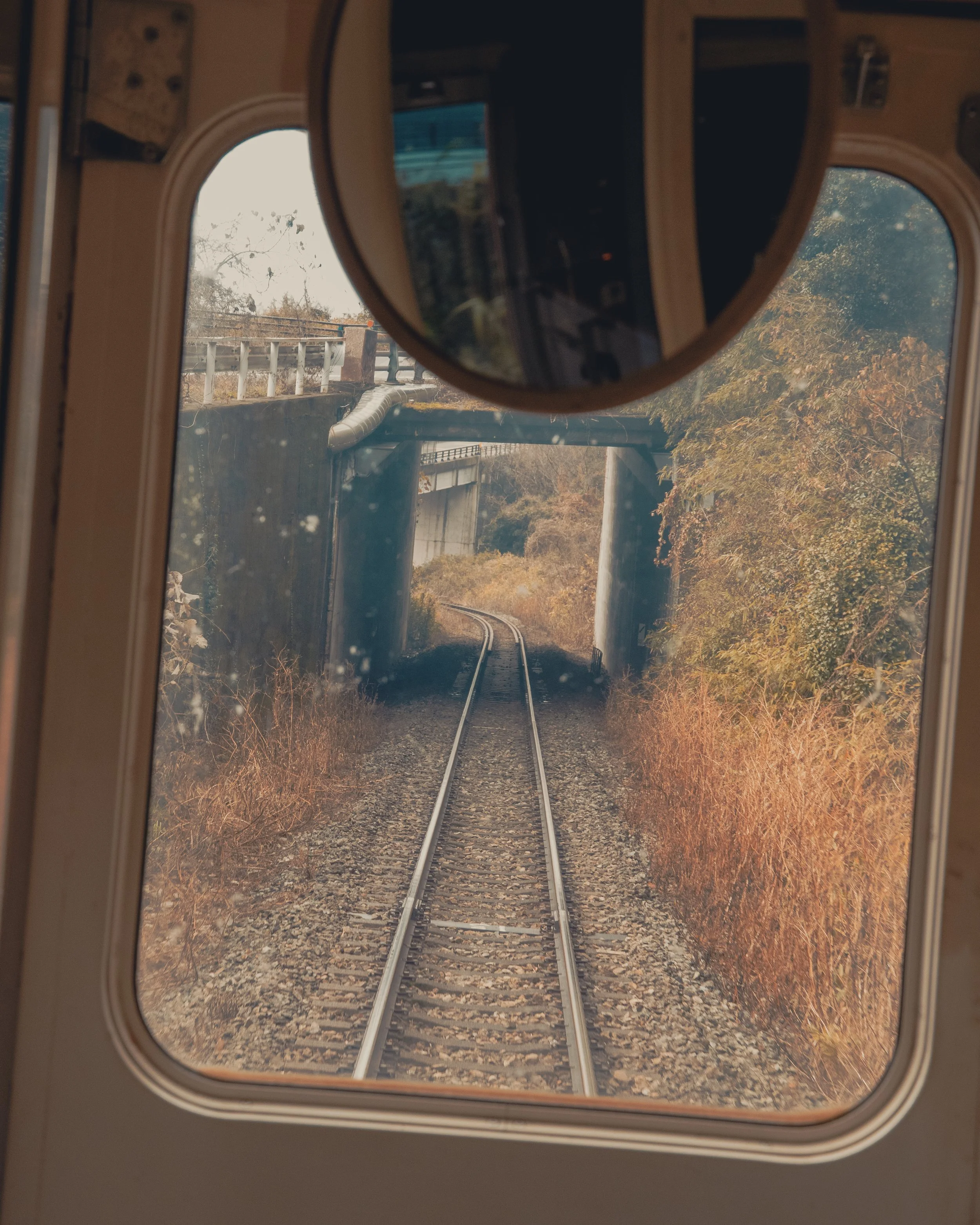 View through train window showing railway tracks, trees, and an overpass bridge.